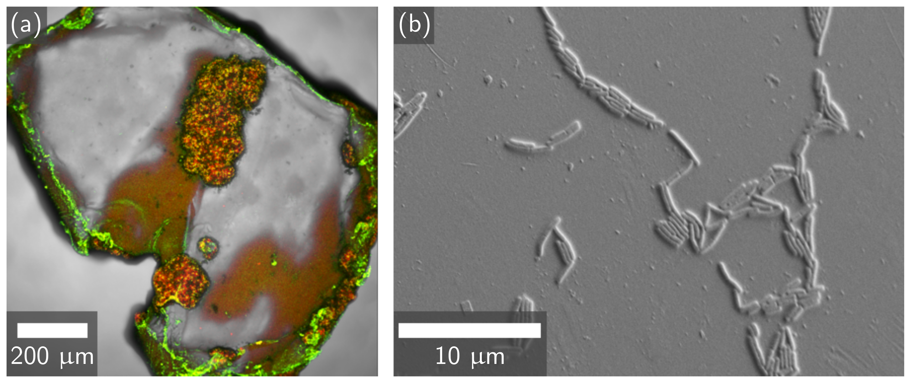 Materials 14 01949 g001