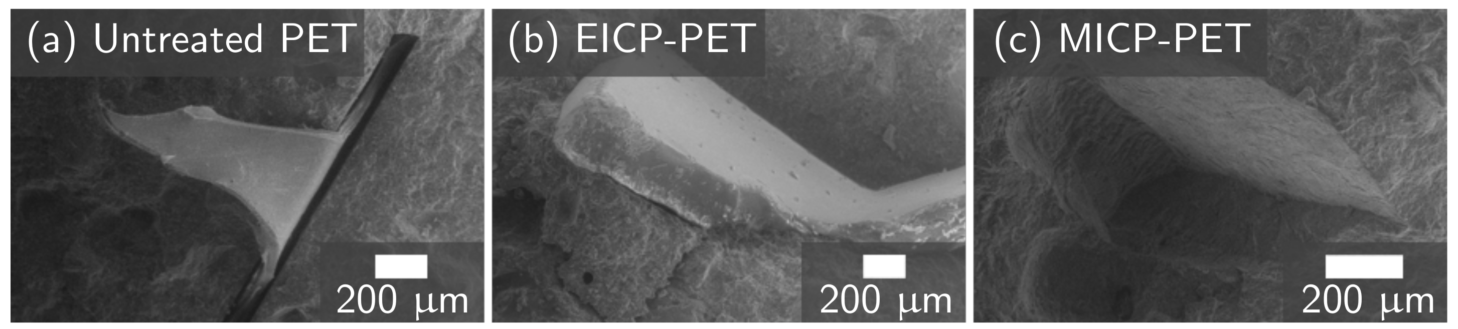 Materials 14 01949 g006