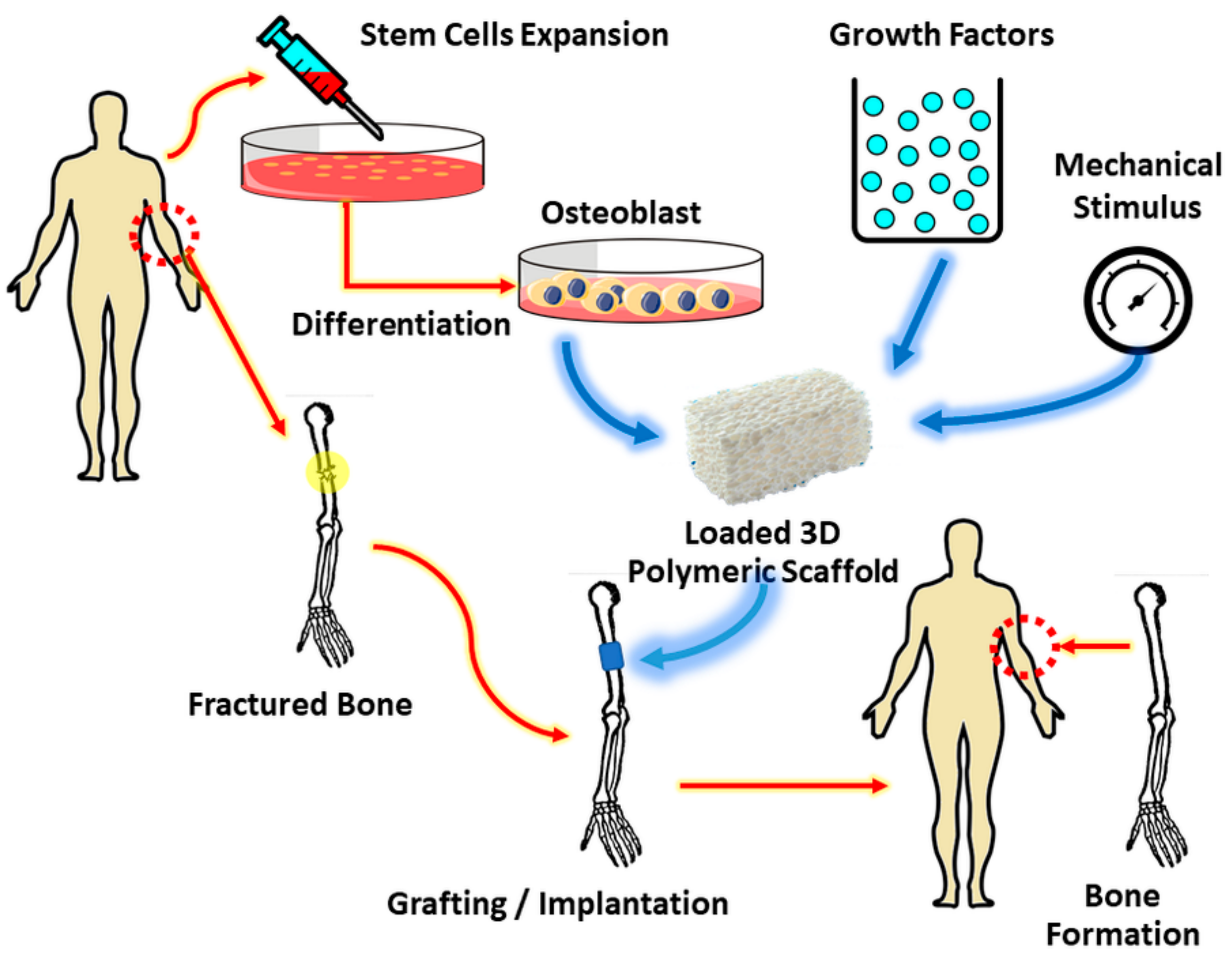 Materials 14 01960 g001