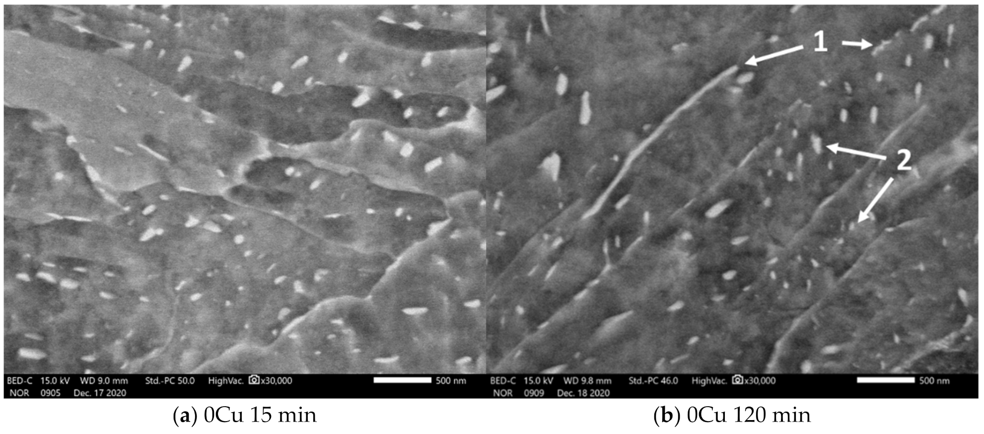 Materials 14 01962 g005a