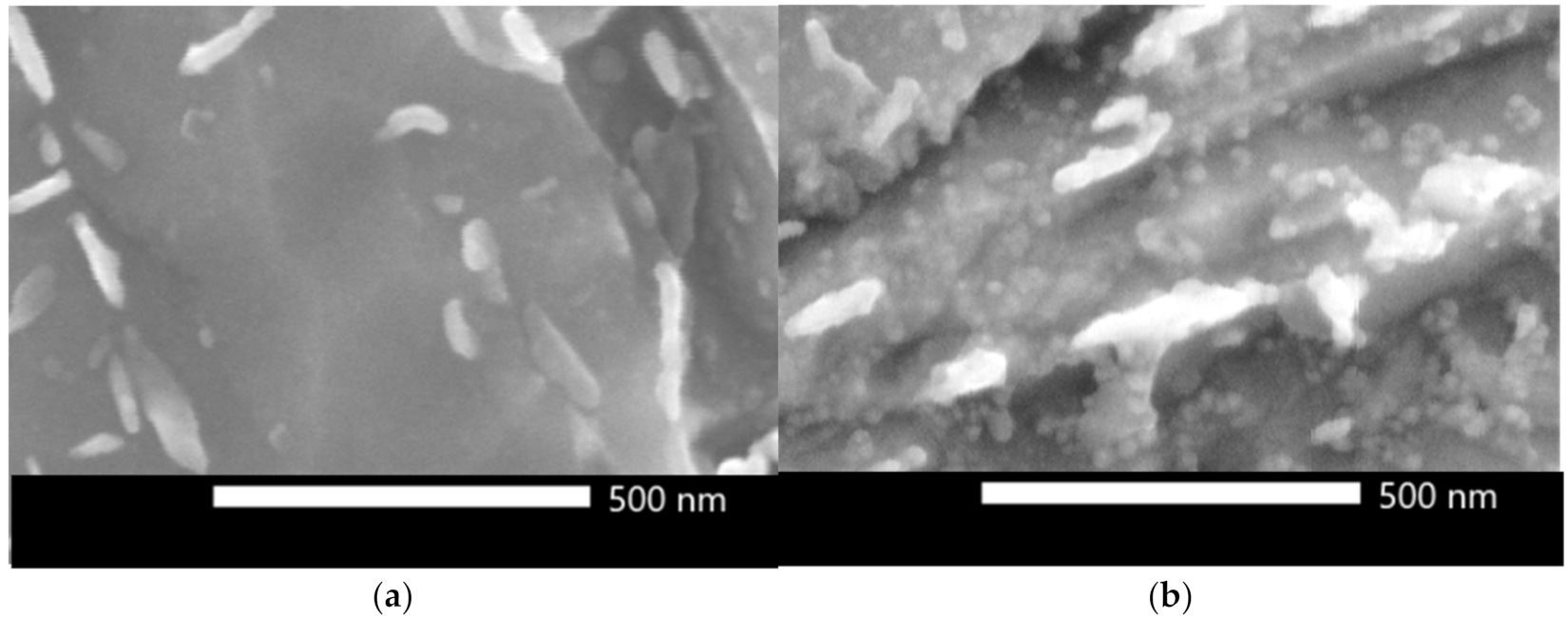 Materials 14 01962 g006