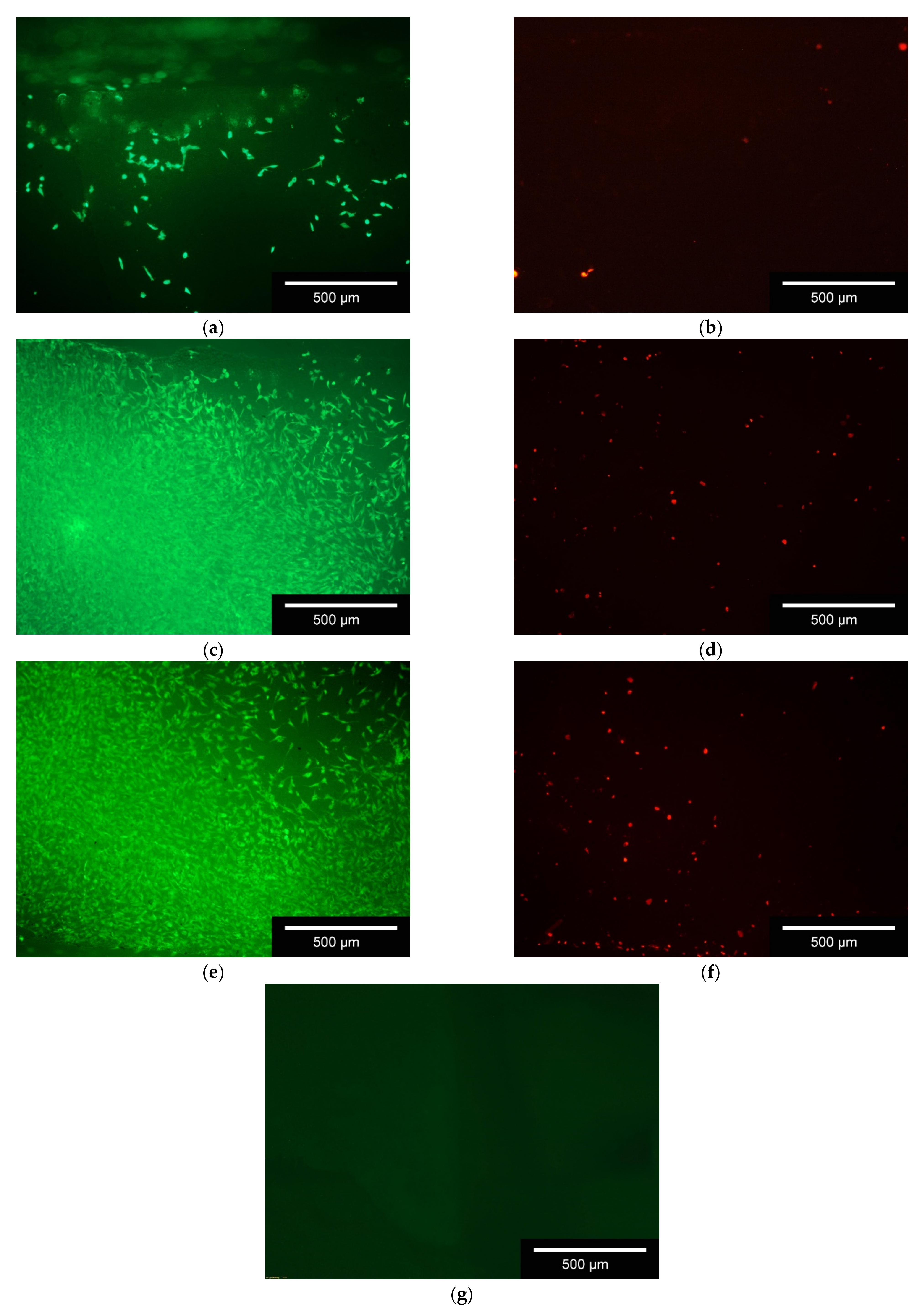 Materials 14 01964 g008 Materials 14 01964 g008