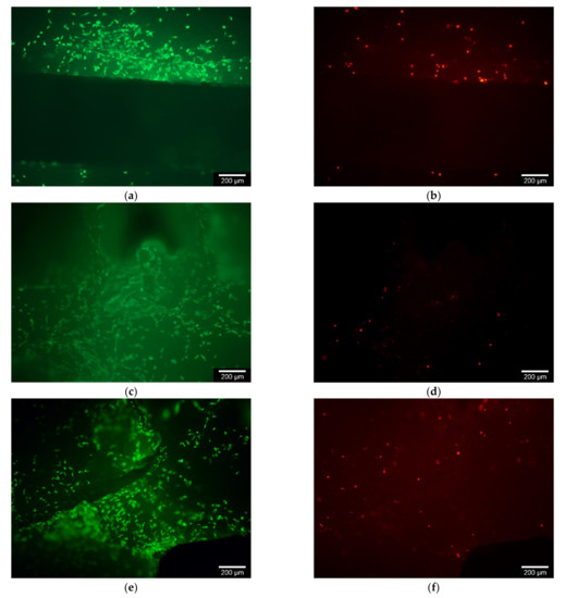 Materials 14 01964 g0a2