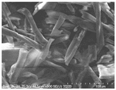 Materials 14 01981 i003