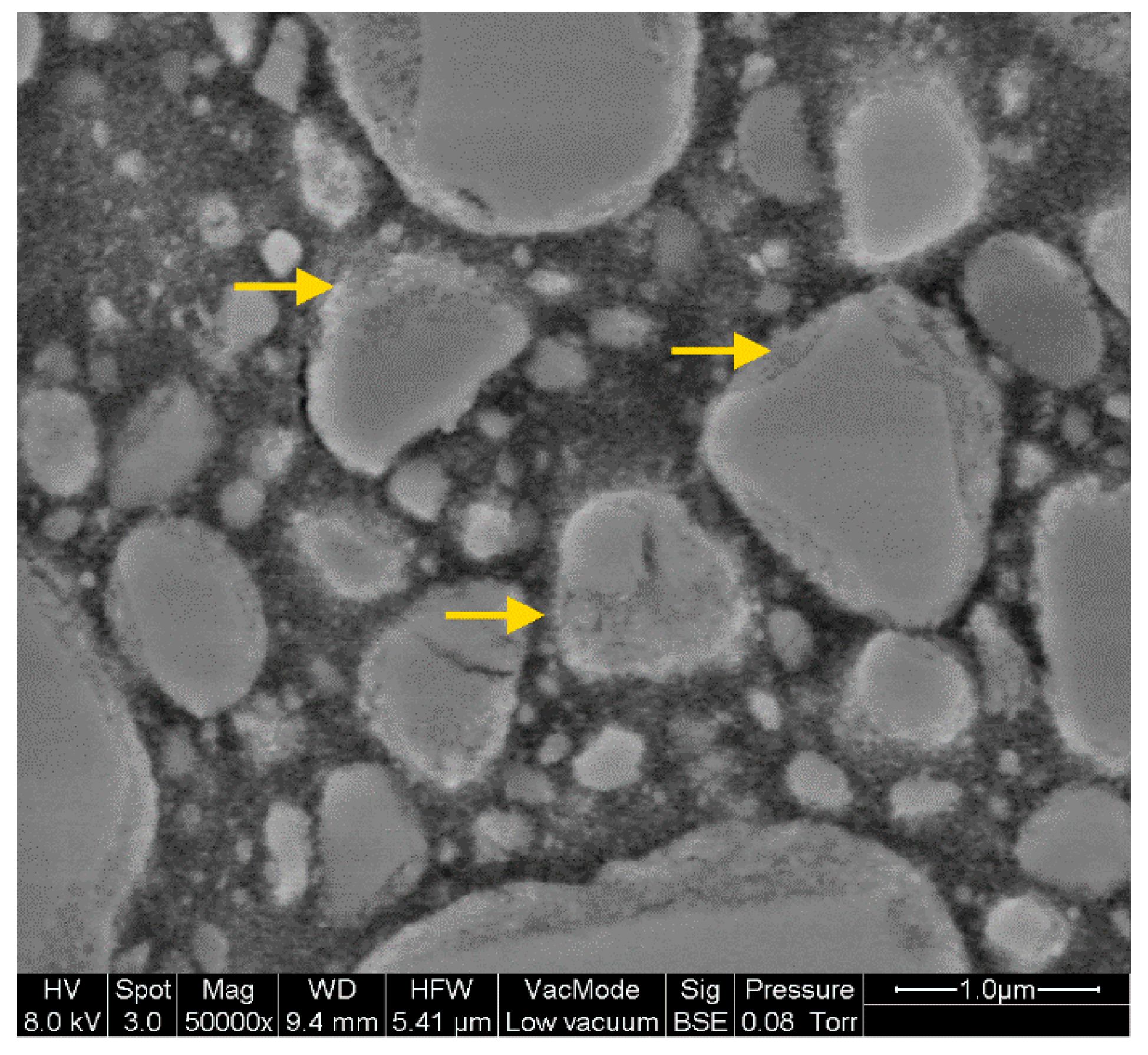 Materials 14 01986 g009