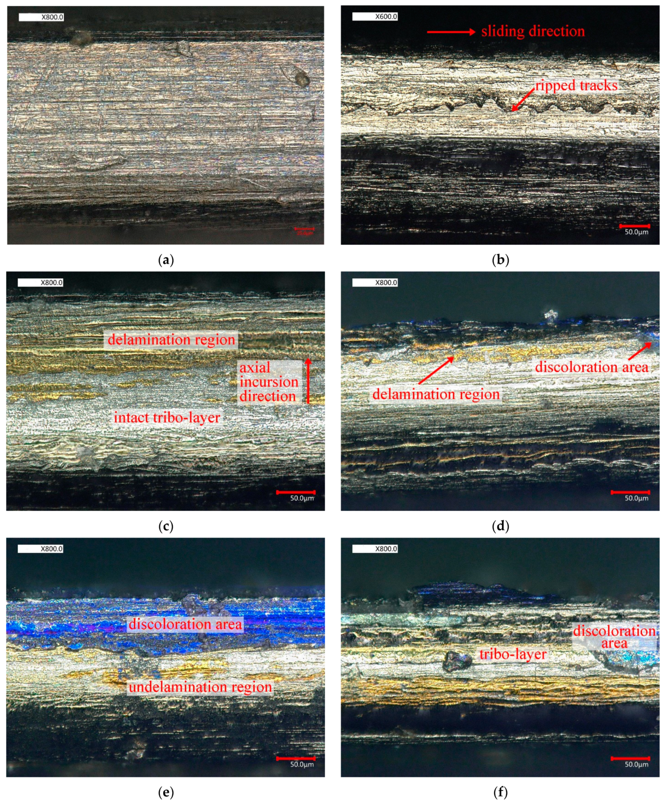 Materials 14 01997 g010