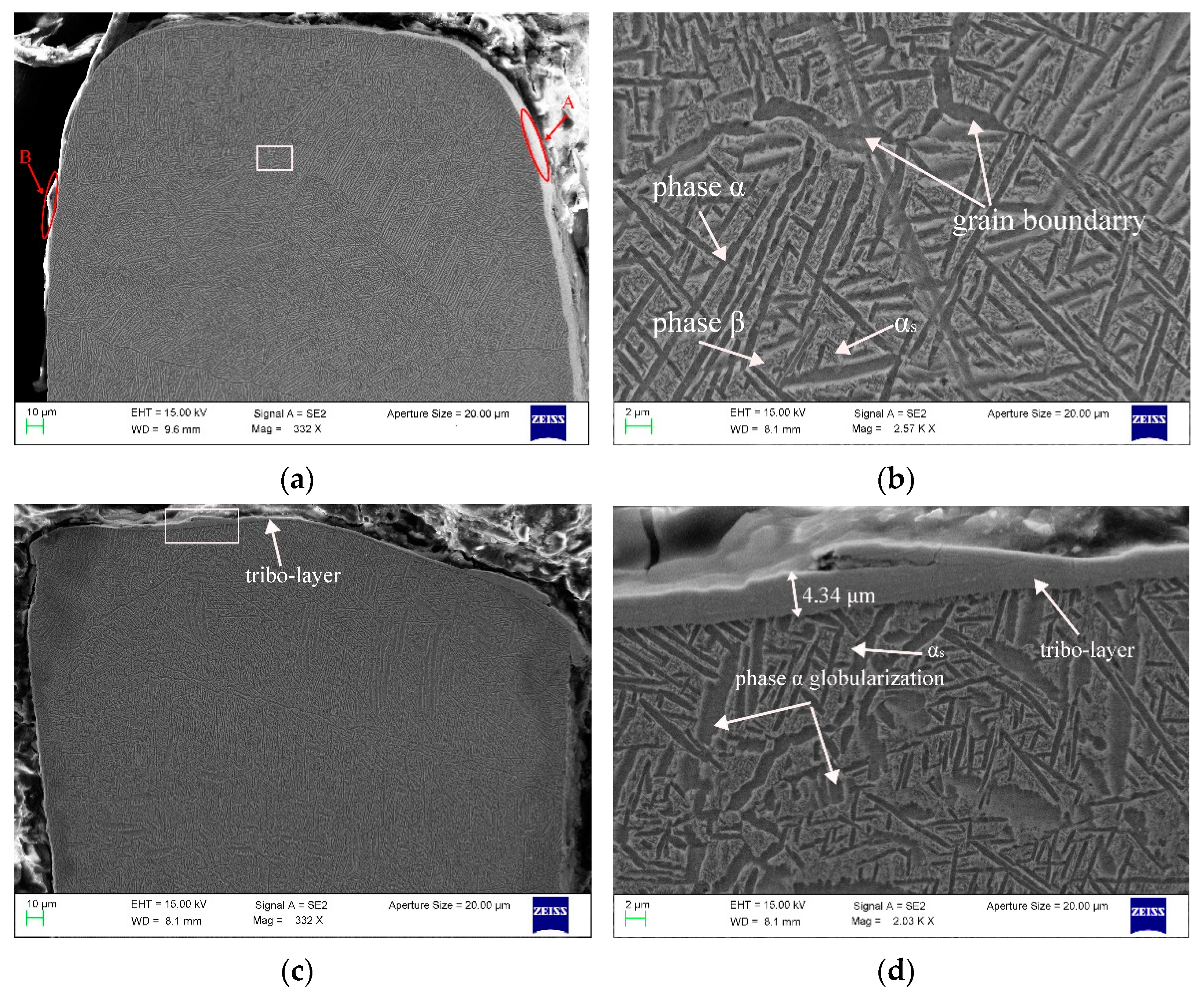 Materials 14 01997 g012a