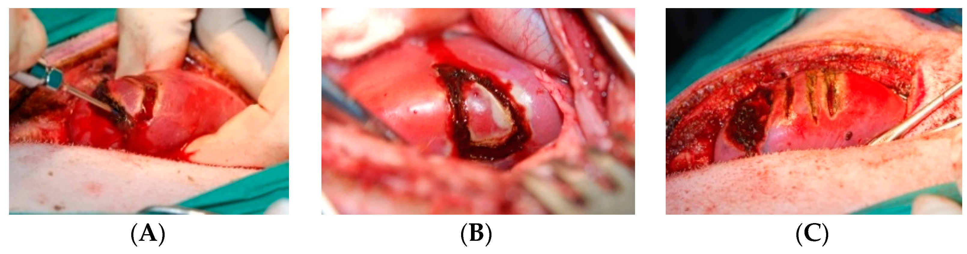 Materials 14 02000 g001
