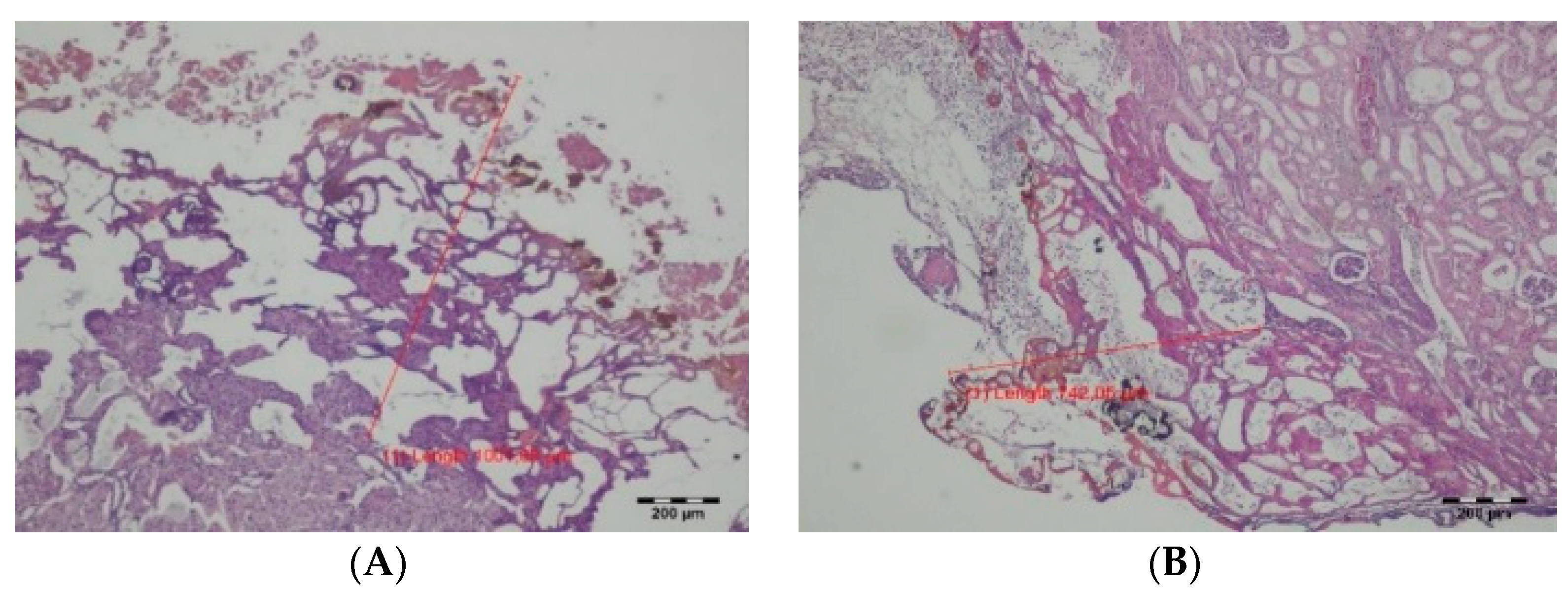 Materials 14 02000 g003