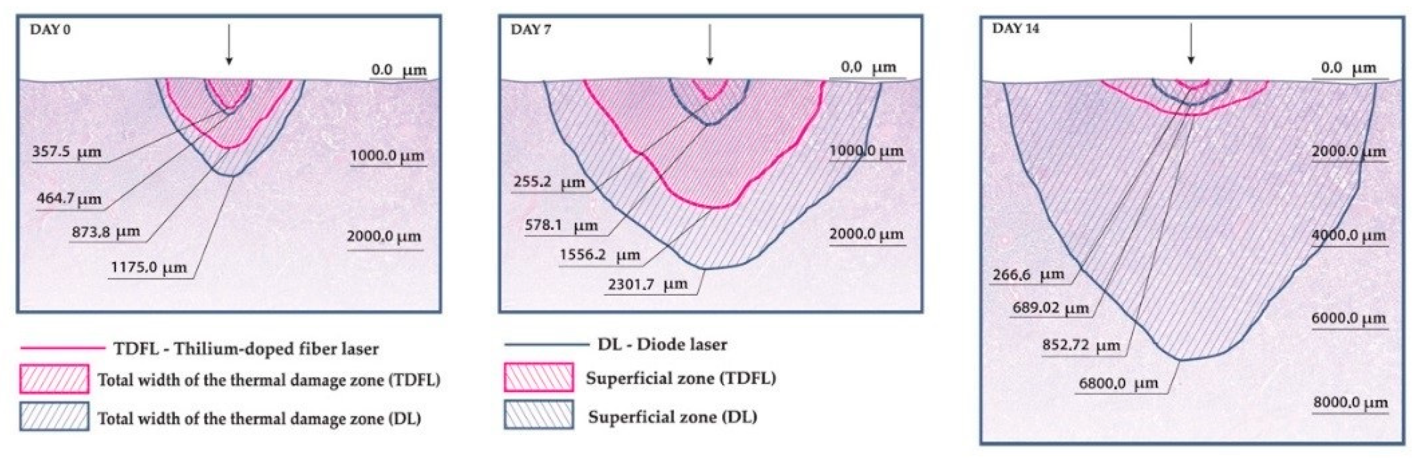 Materials 14 02000 g004