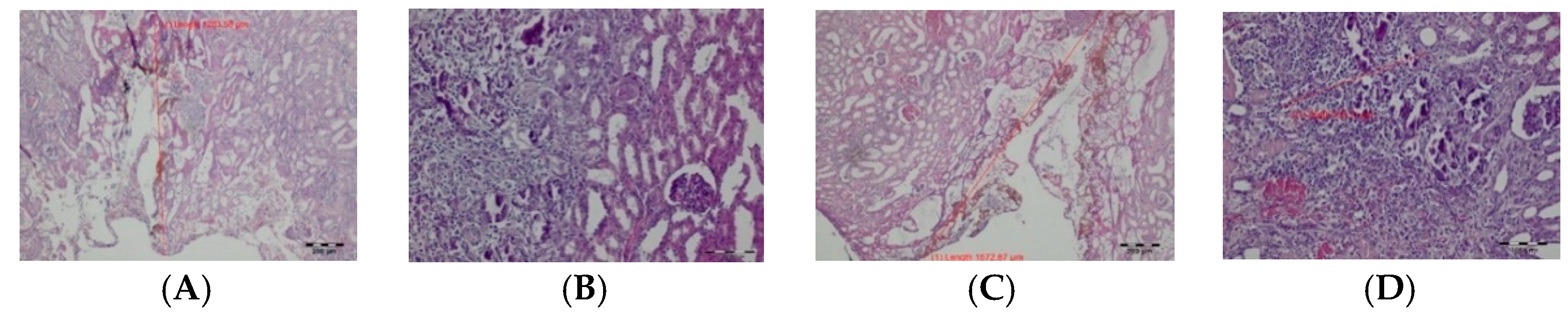 Materials 14 02000 g005