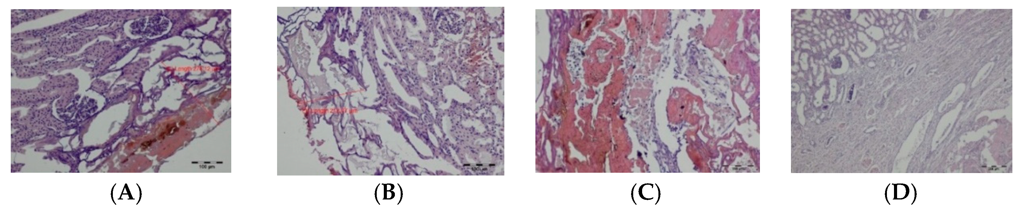 Materials 14 02000 g006