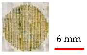 Materials 14 02009 i002