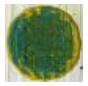 Materials 14 02009 i015