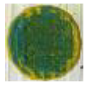 Materials 14 02009 i023