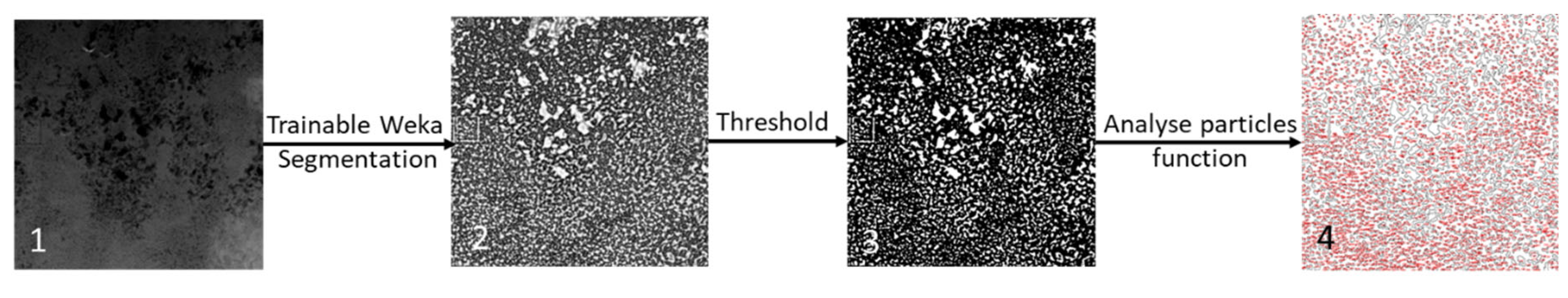 Materials 14 02017 g008