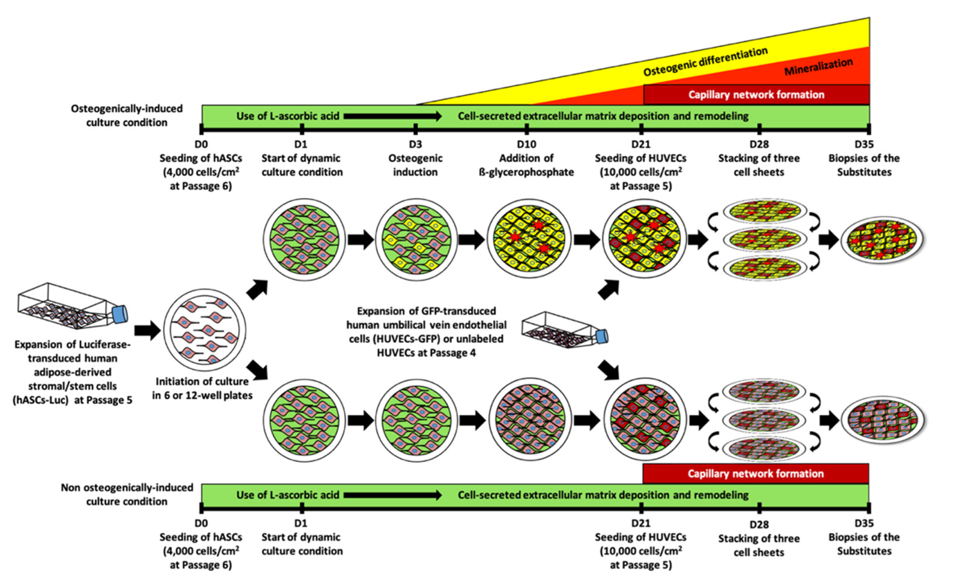Materials 14 02023 g001 Materials 14 02023 g001