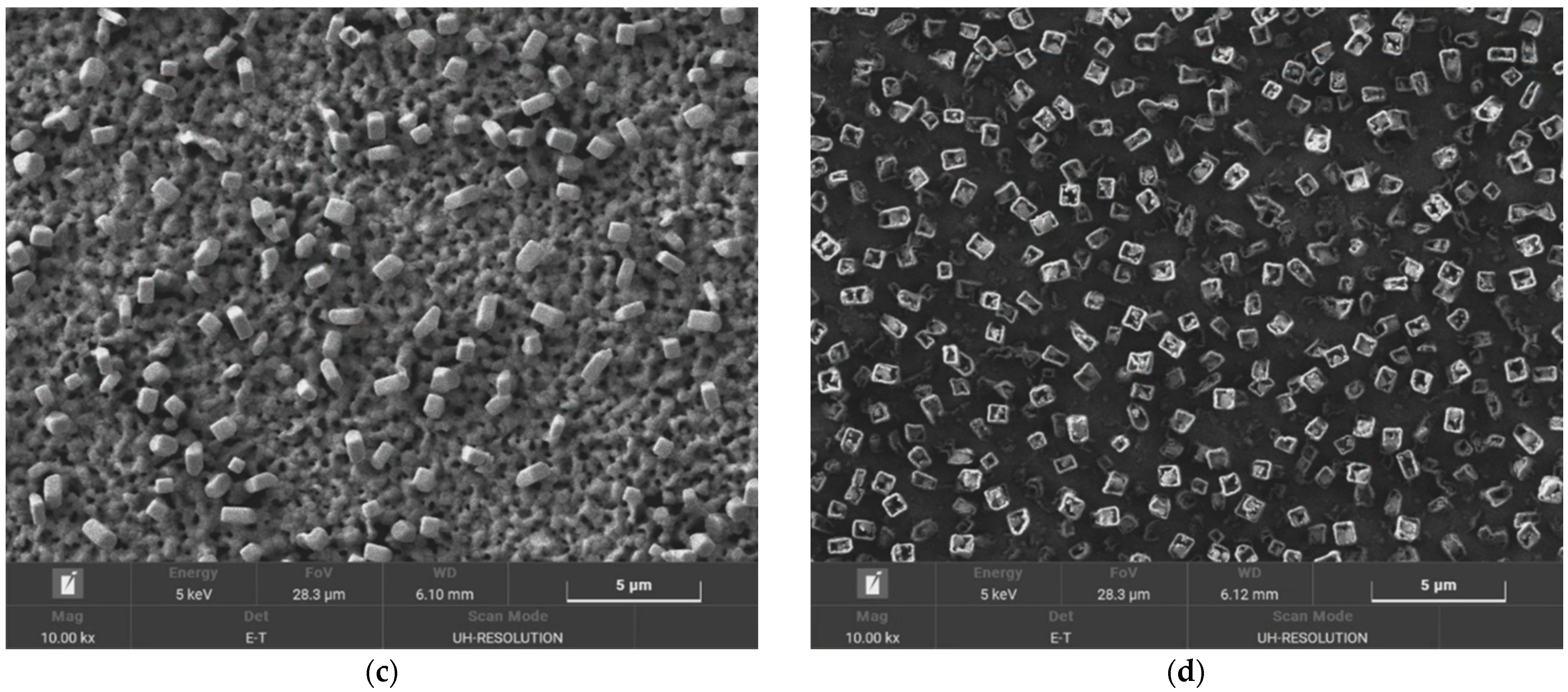 Materials 14 02025 g002b