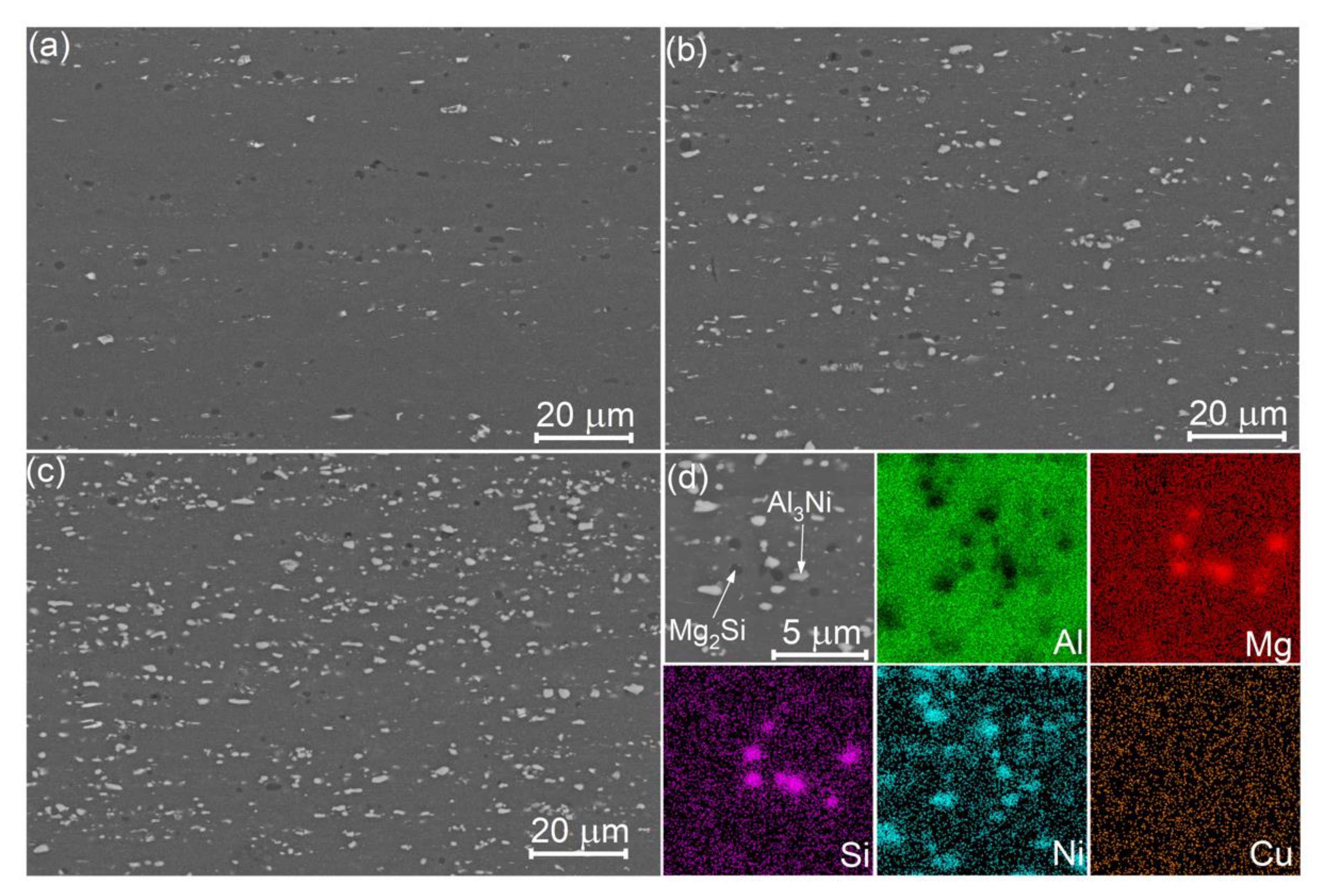 Materials 14 02028 g006