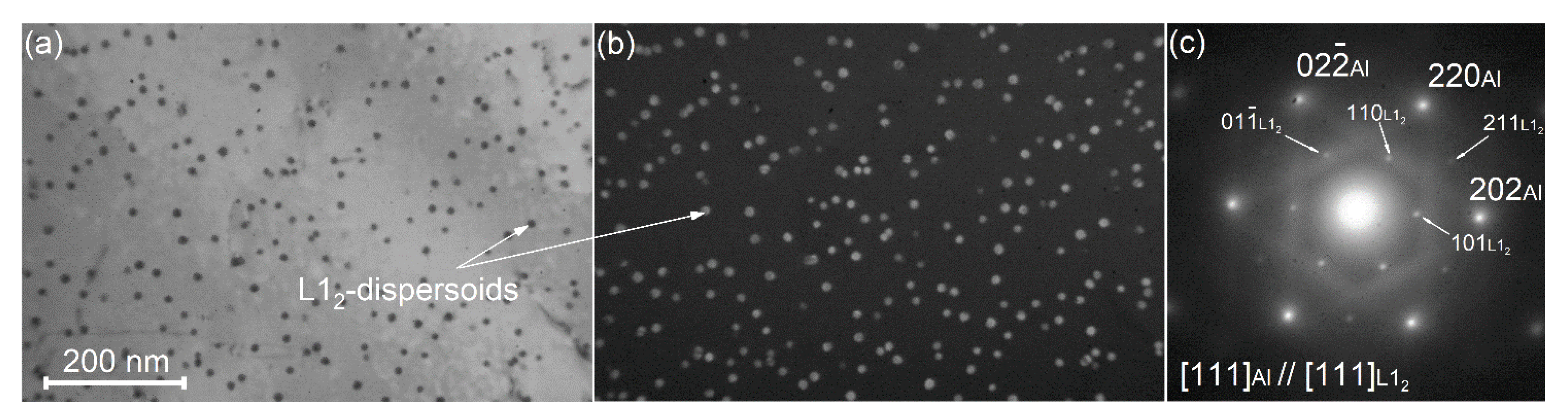 Materials 14 02028 g008