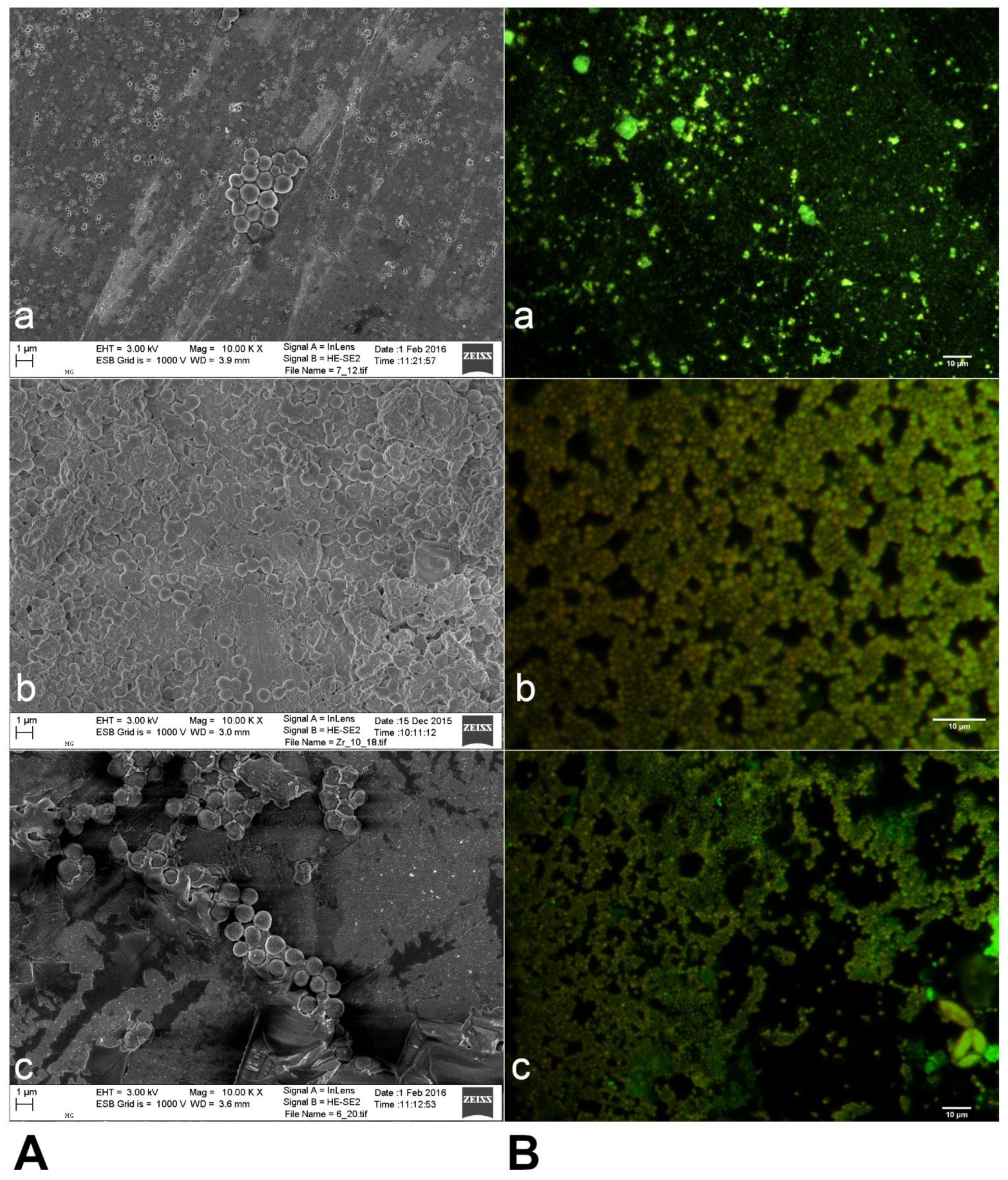 Materials 14 02030 g004