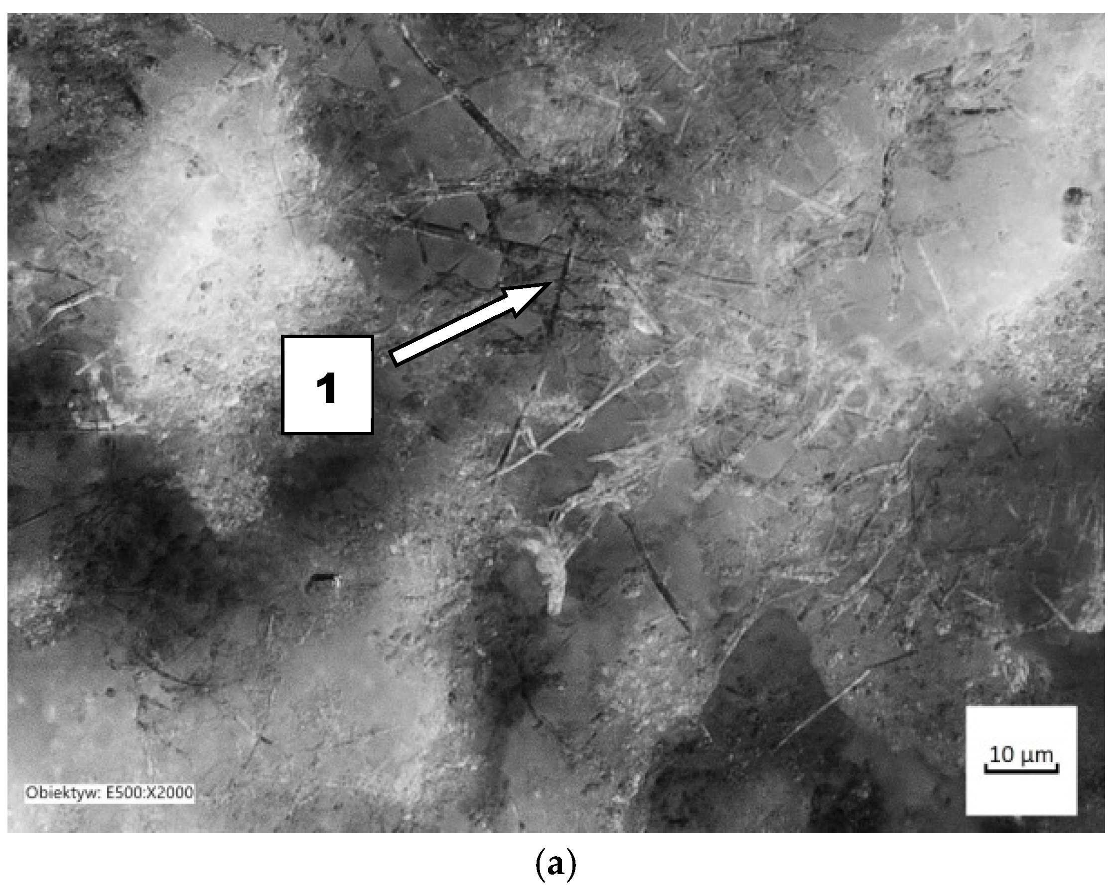 Materials 14 02043 g011a