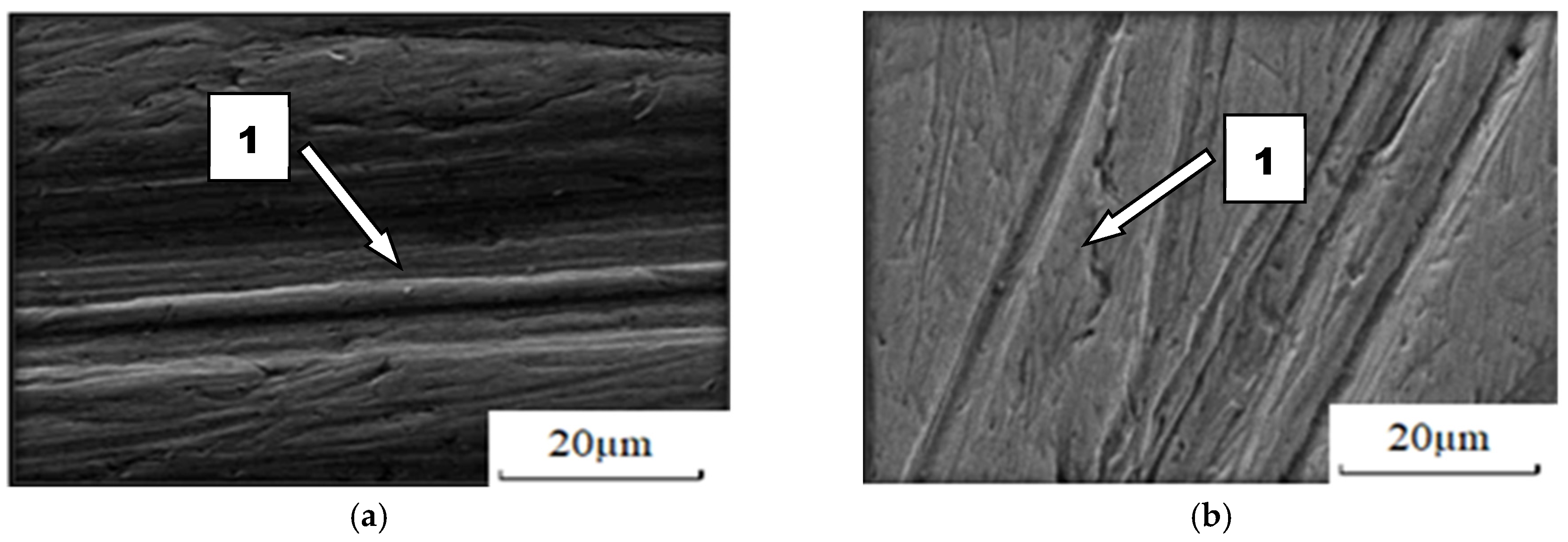 Materials 14 02043 g014a