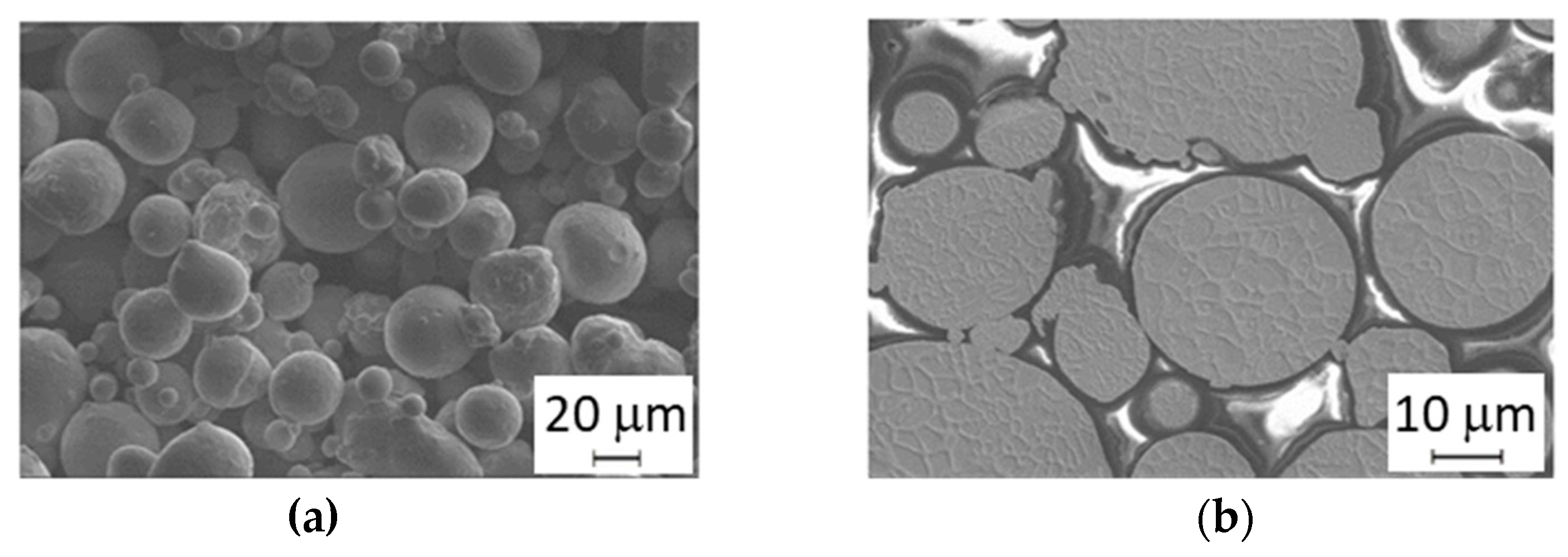 Materials 14 02105 g004 Materials 14 02105 g004