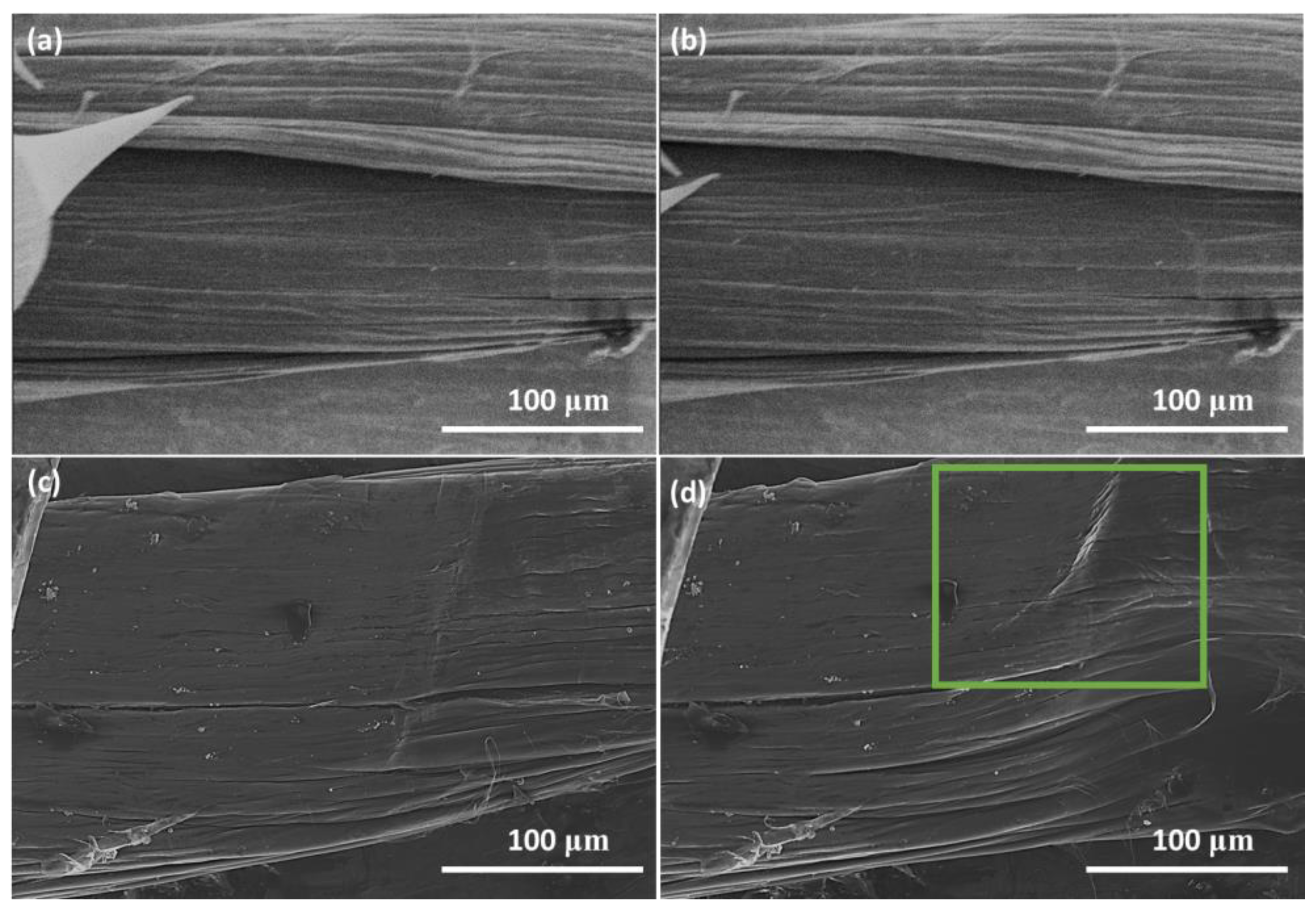 Materials 14 02106 g001