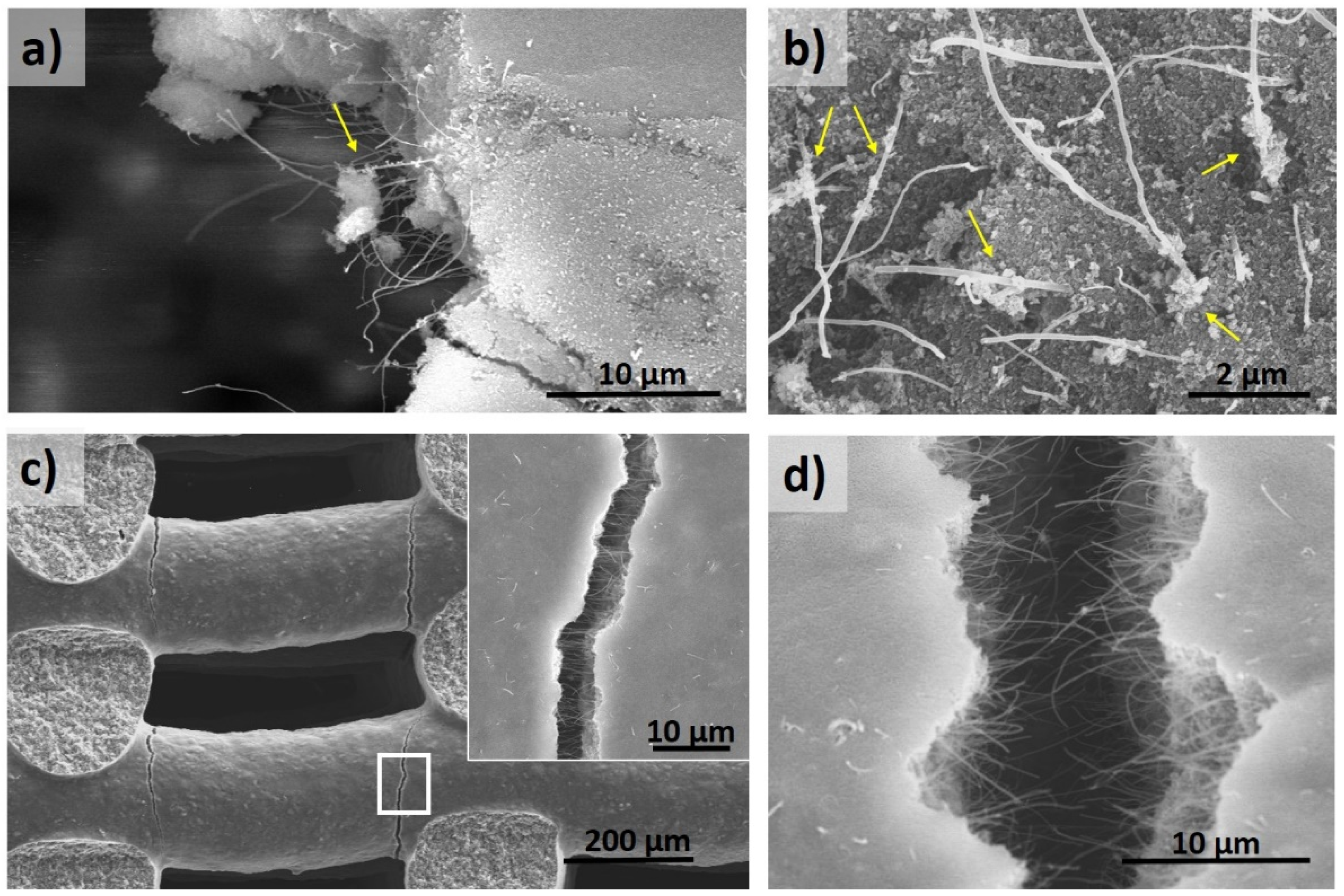 Materials 14 02111 g005