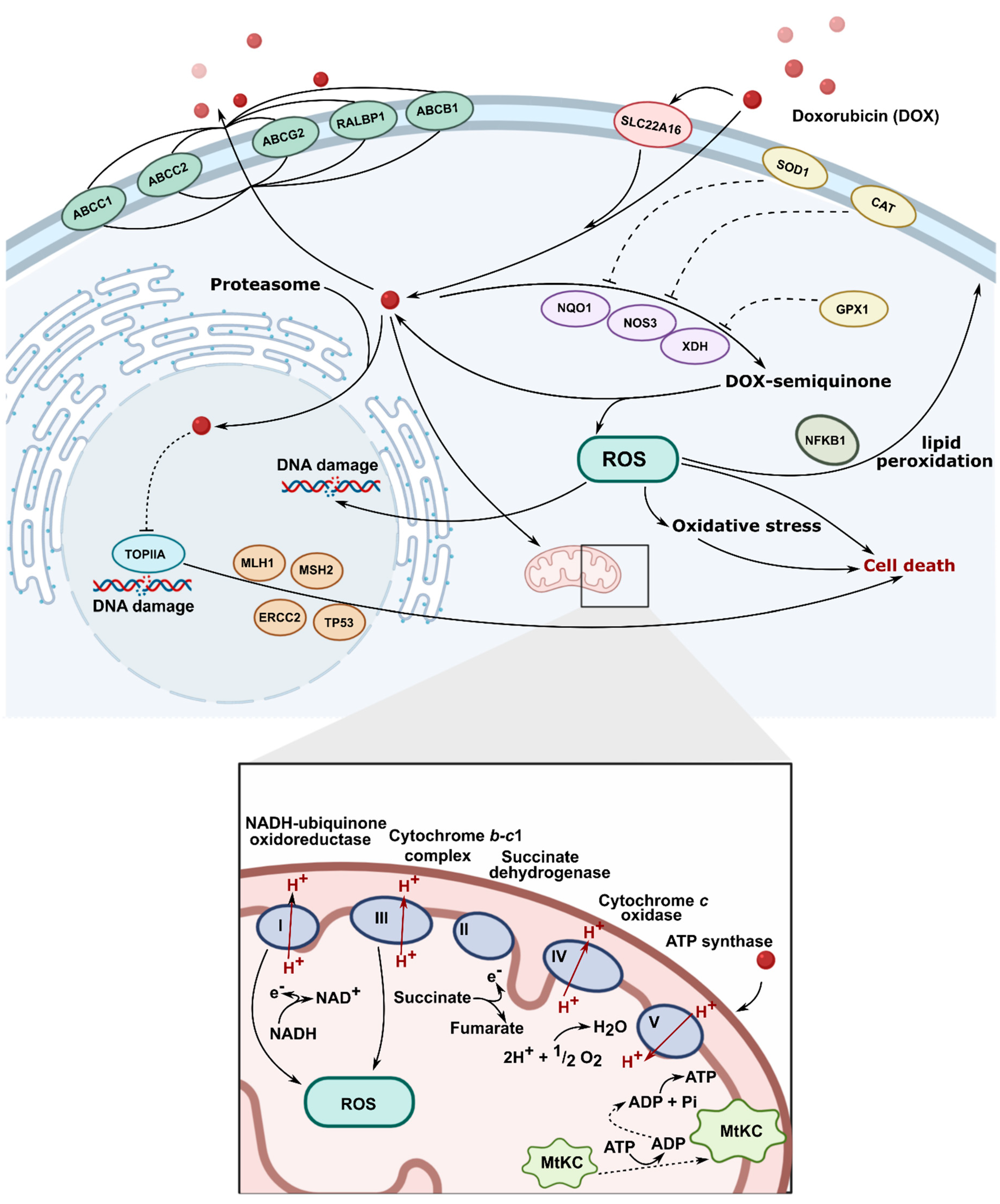 Materials 14 02135 g002 Materials 14 02135 g002