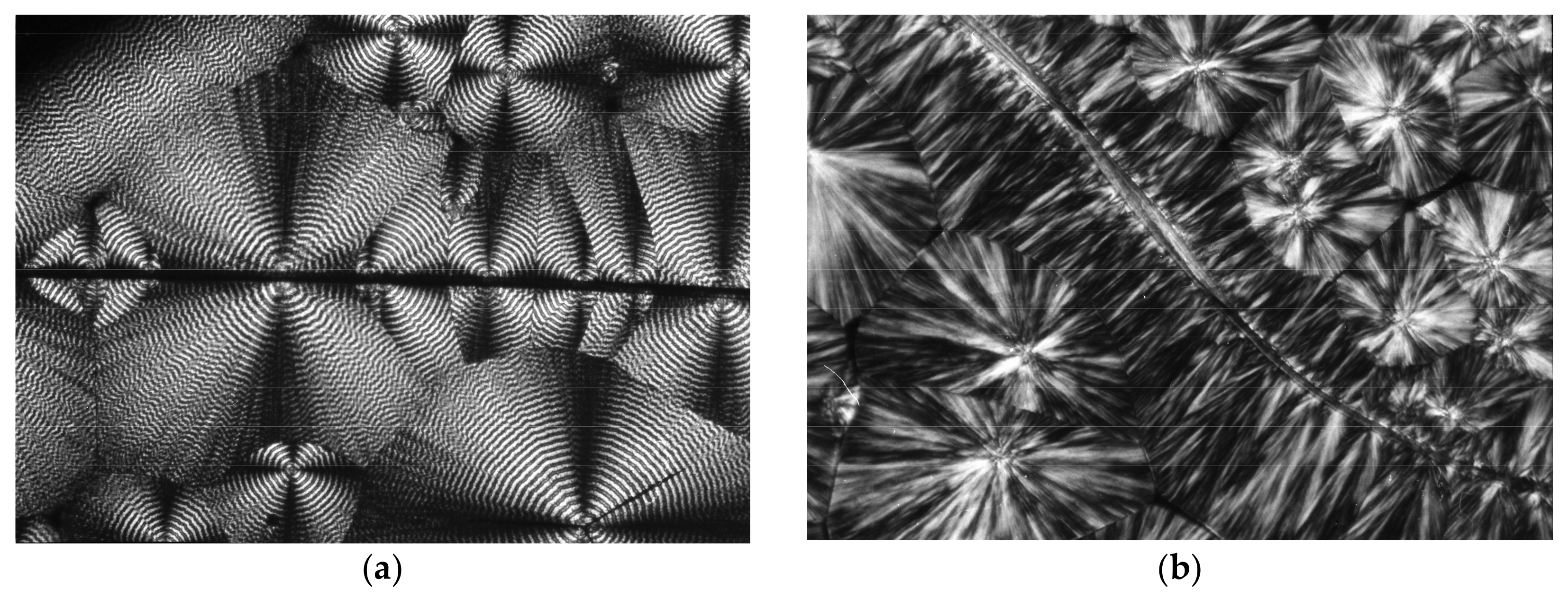 Materials 14 02136 g007 Materials 14 02136 g007