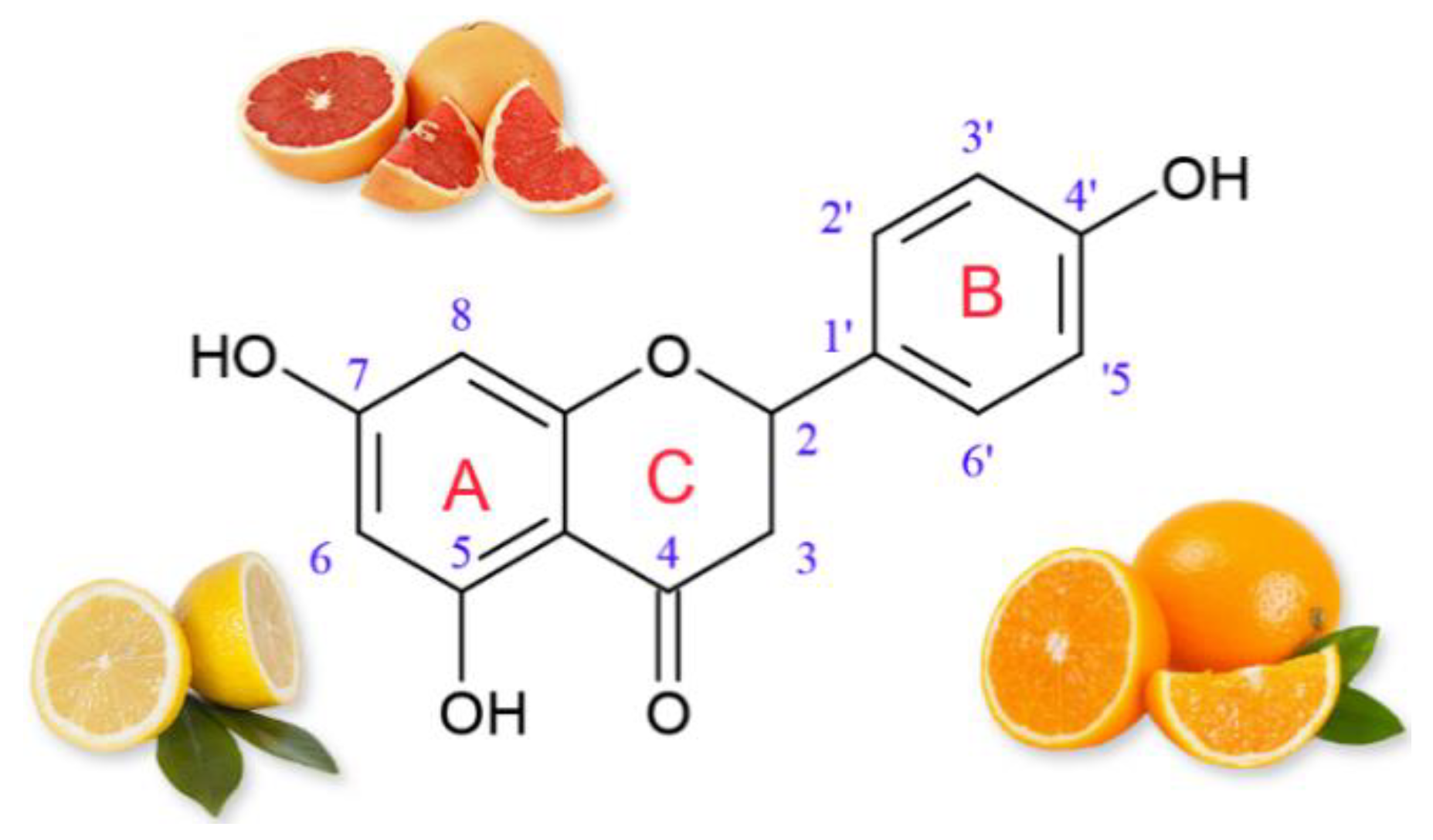 Materials 14 02142 g001