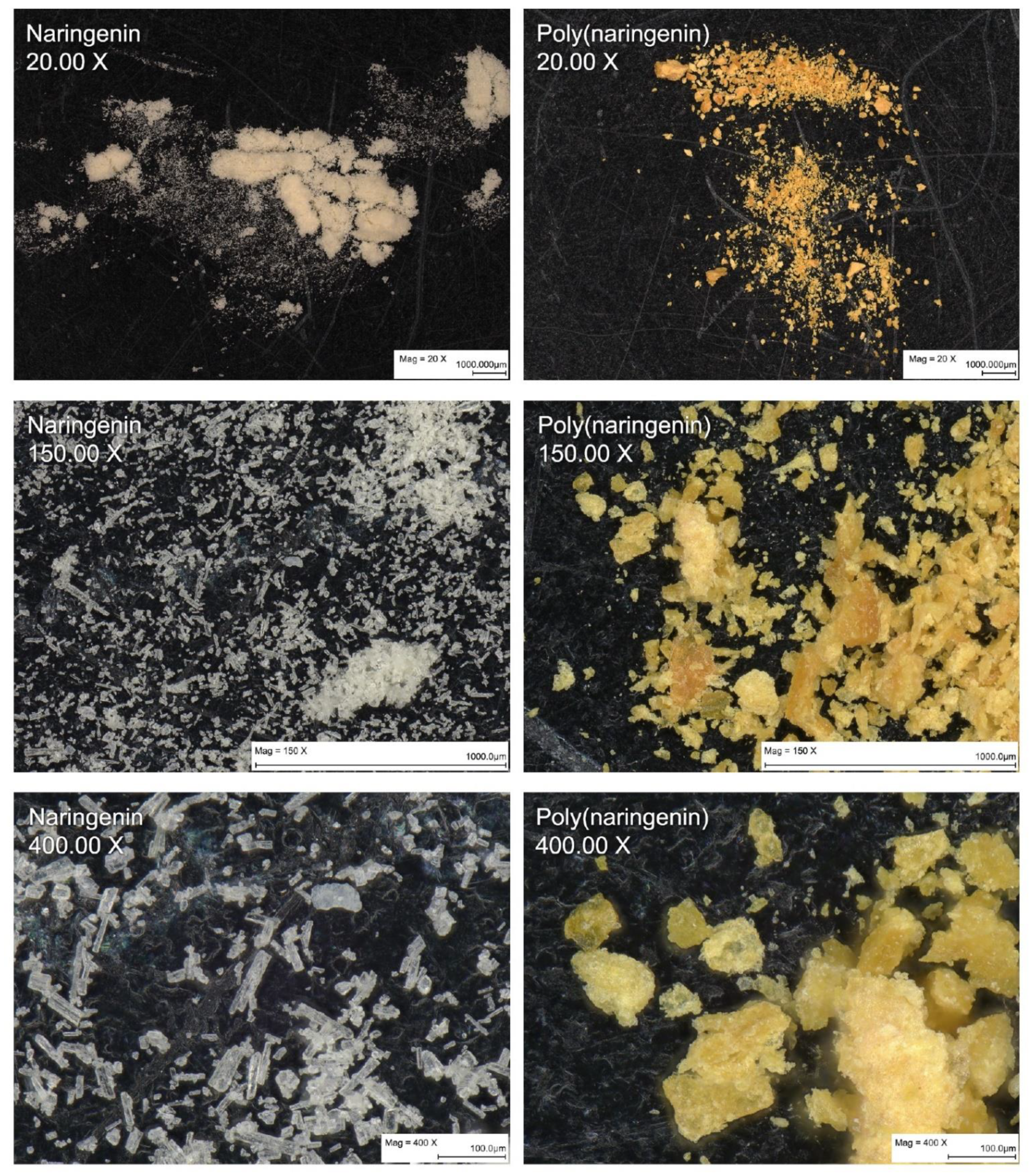 Materials 14 02142 g003