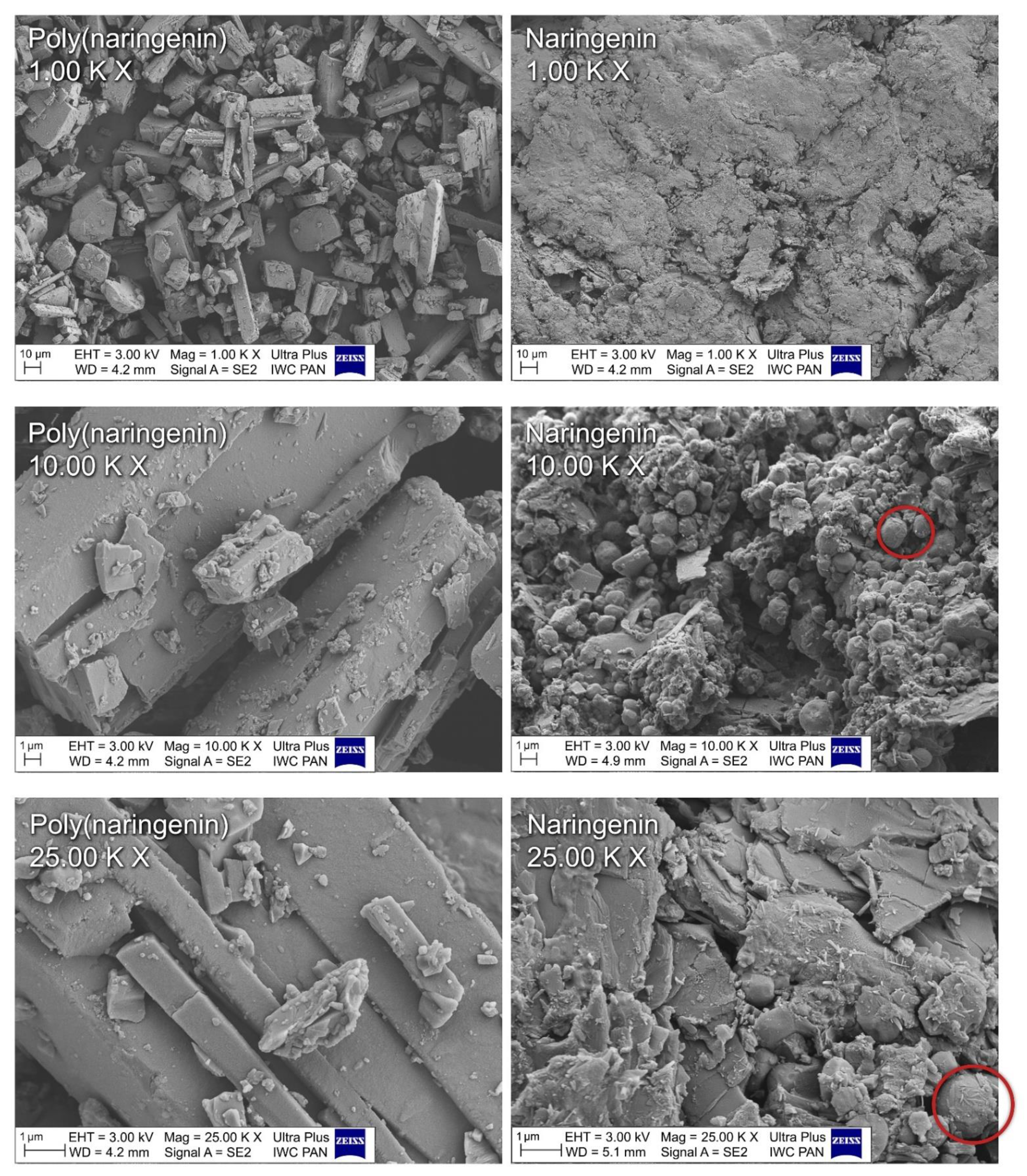 Materials 14 02142 g004