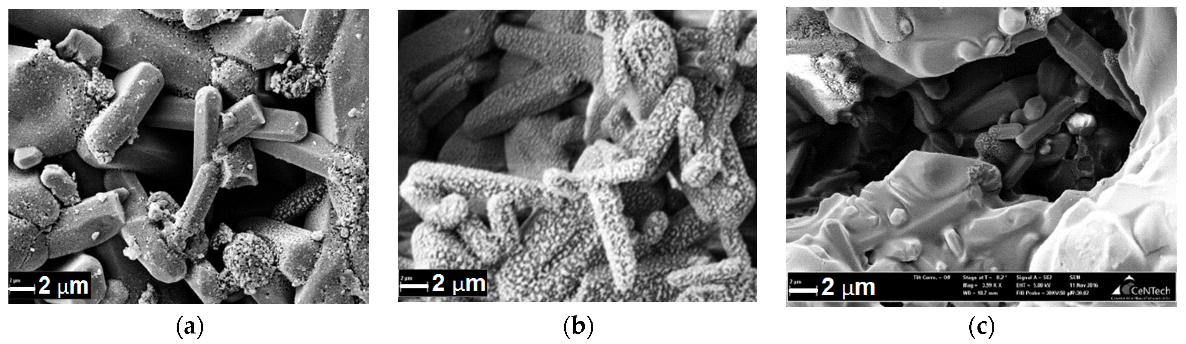 Materials 14 02168 g010 Materials 14 02168 g010