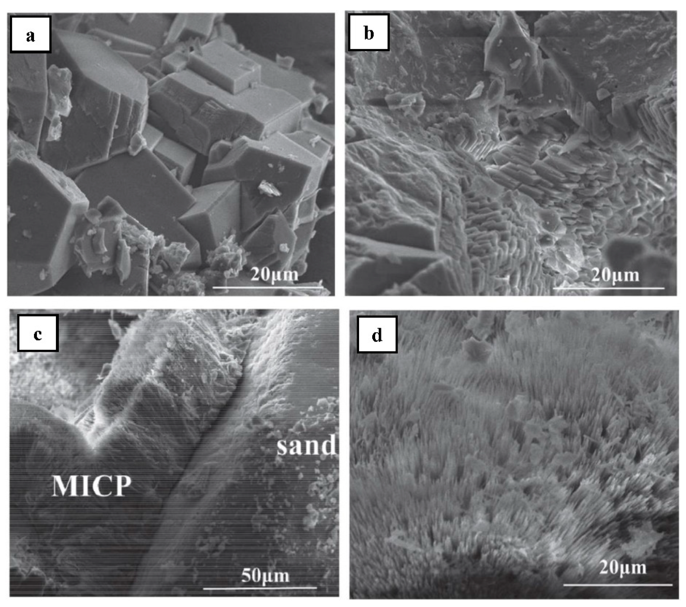 Materials 14 02175 g010