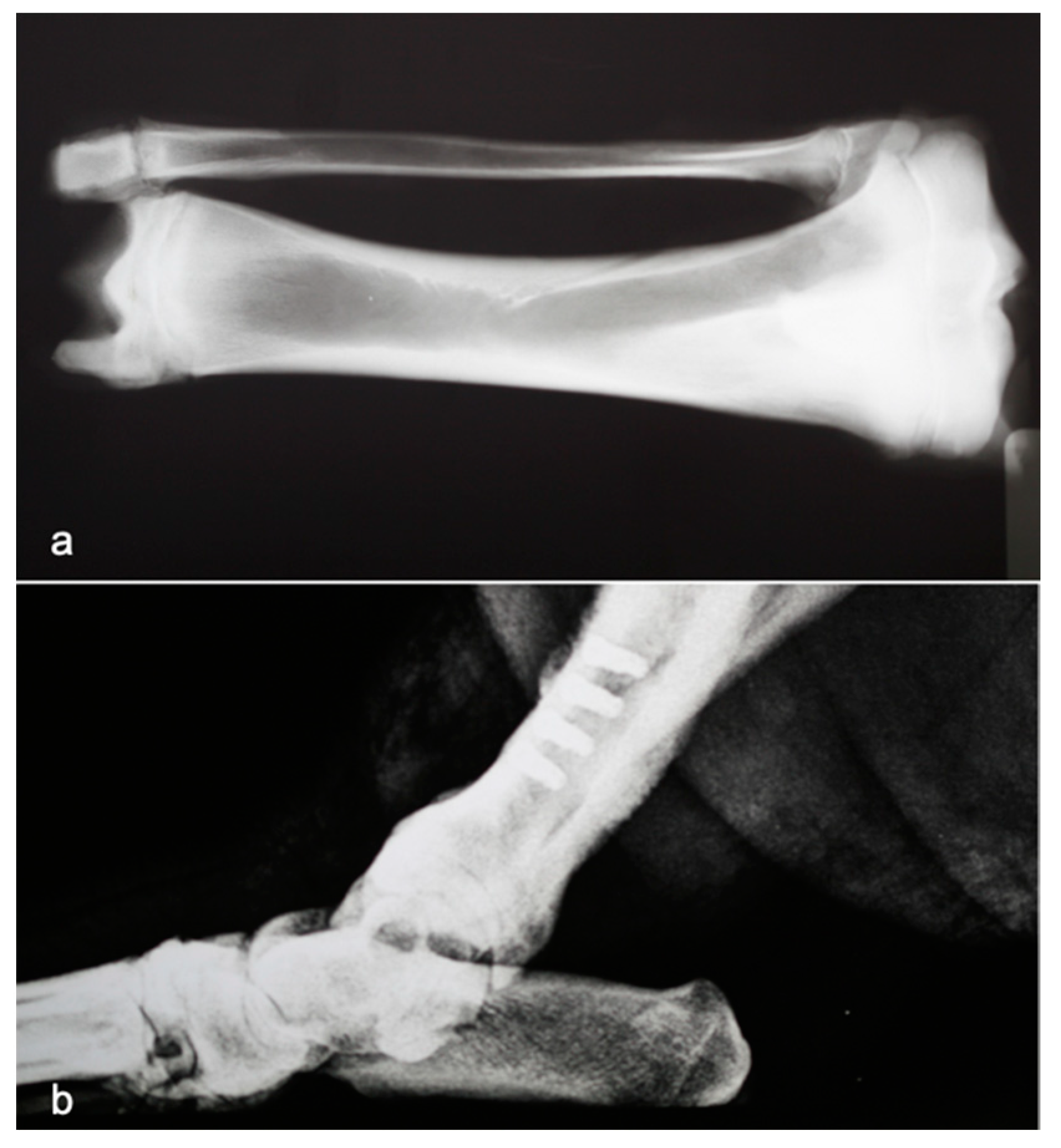 Materials 14 02185 g001 Materials 14 02185 g001