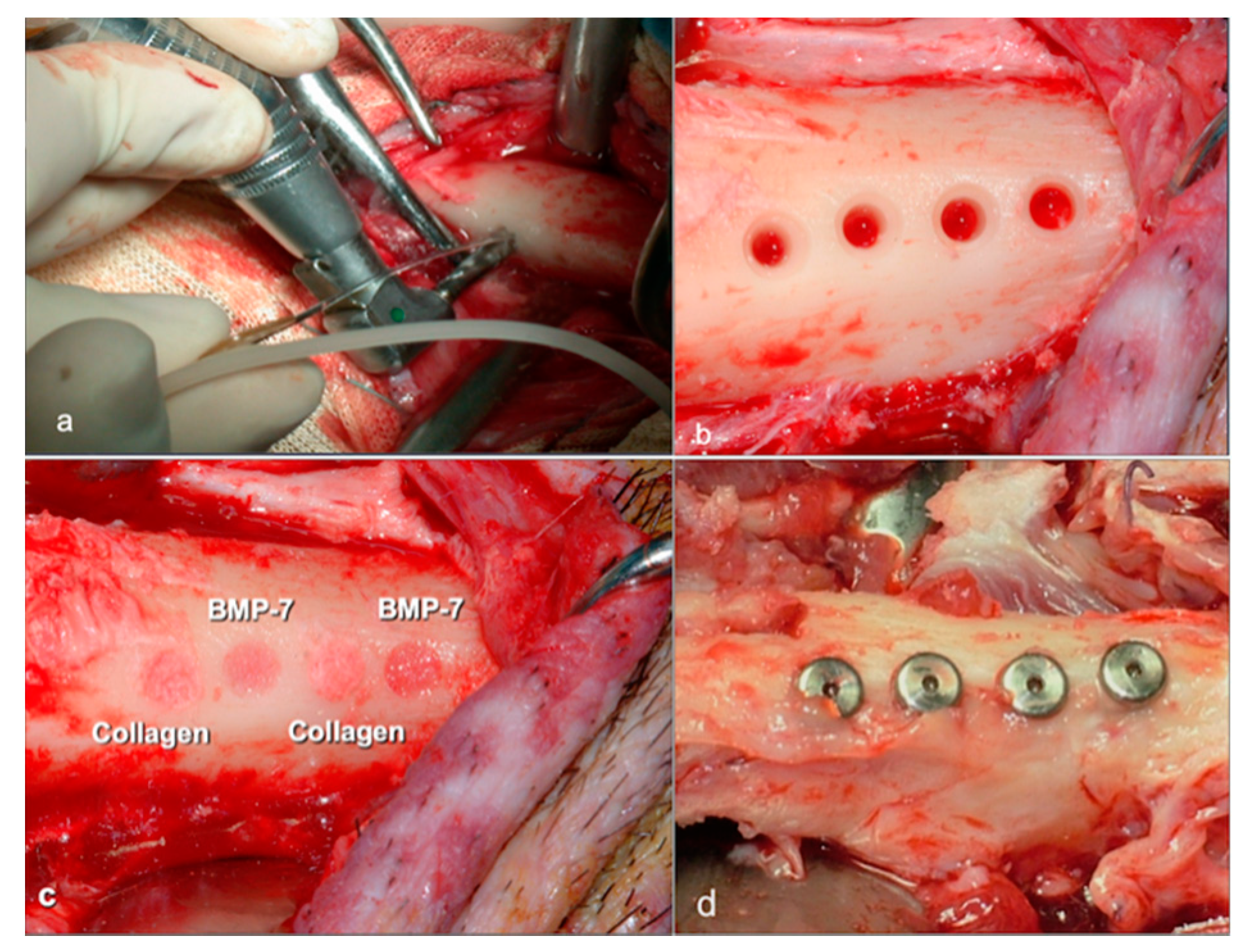 Materials 14 02185 g002 Materials 14 02185 g002