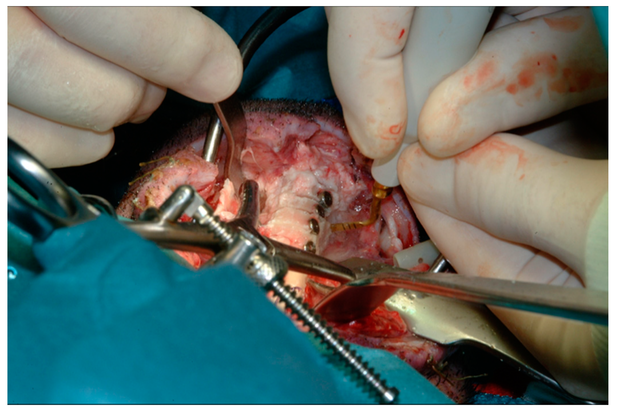 Materials 14 02185 g004 Materials 14 02185 g004