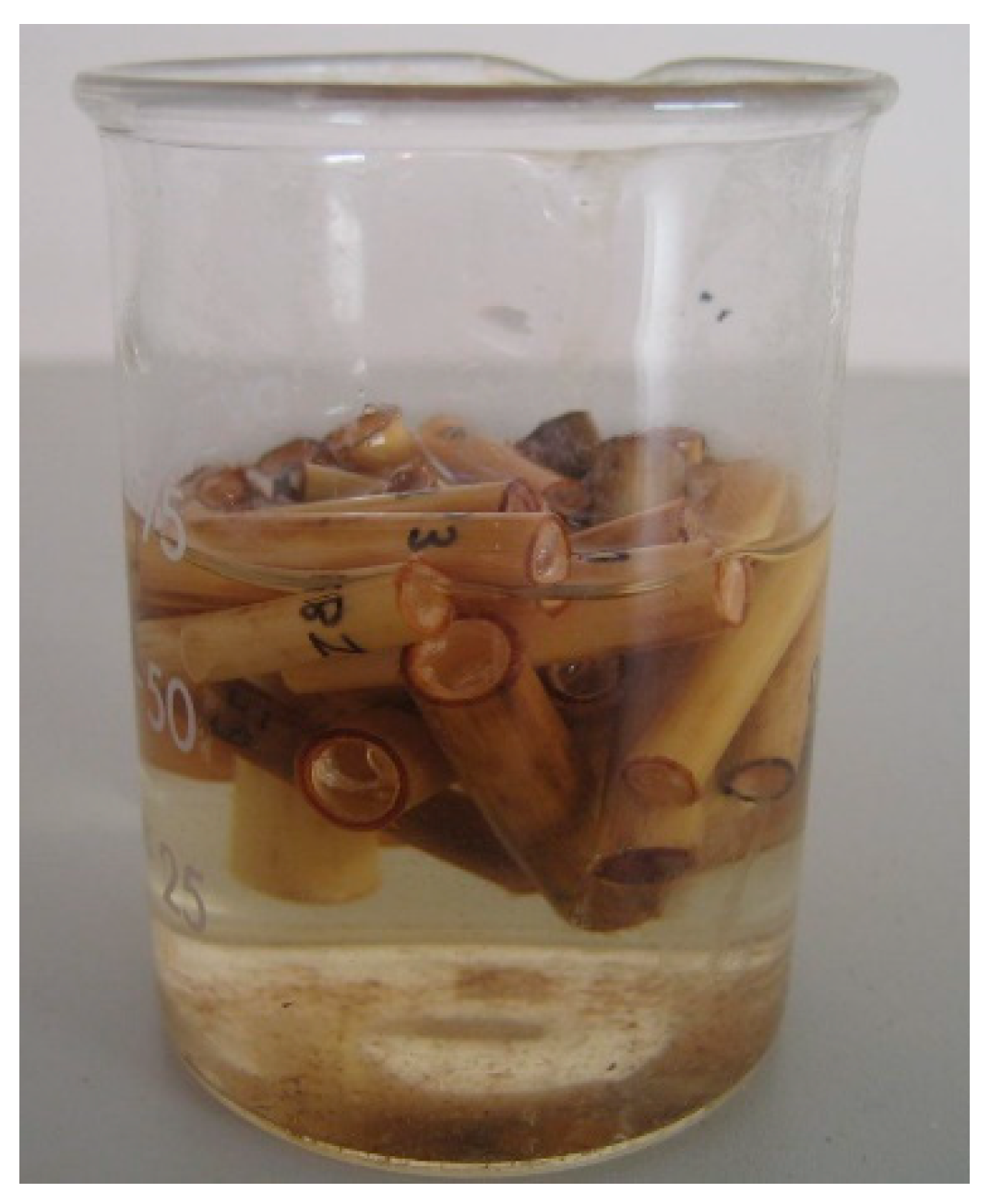 Materials 14 02193 g009 Materials 14 02193 g009