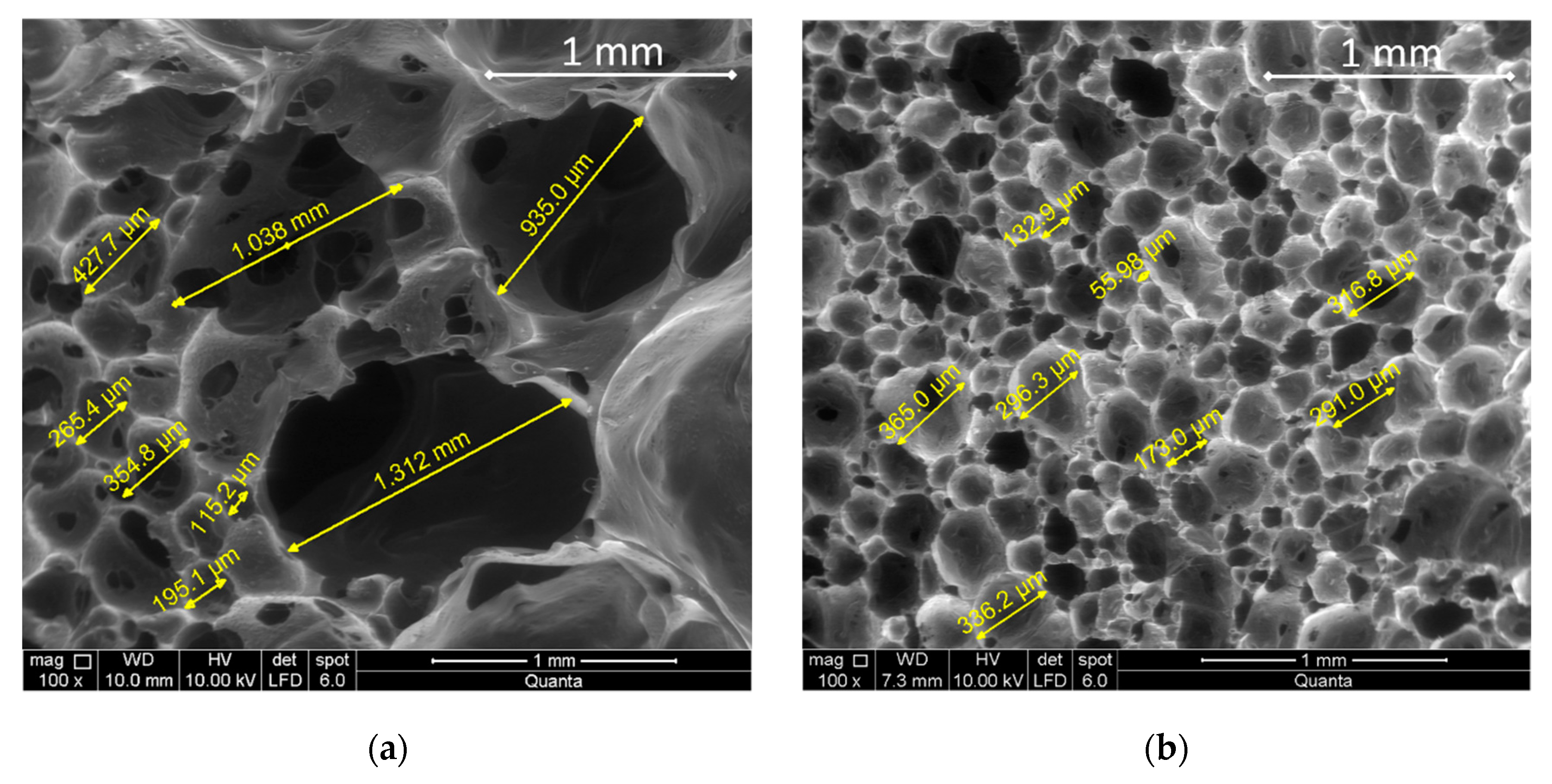 Materials 14 02197 g003 Materials 14 02197 g003