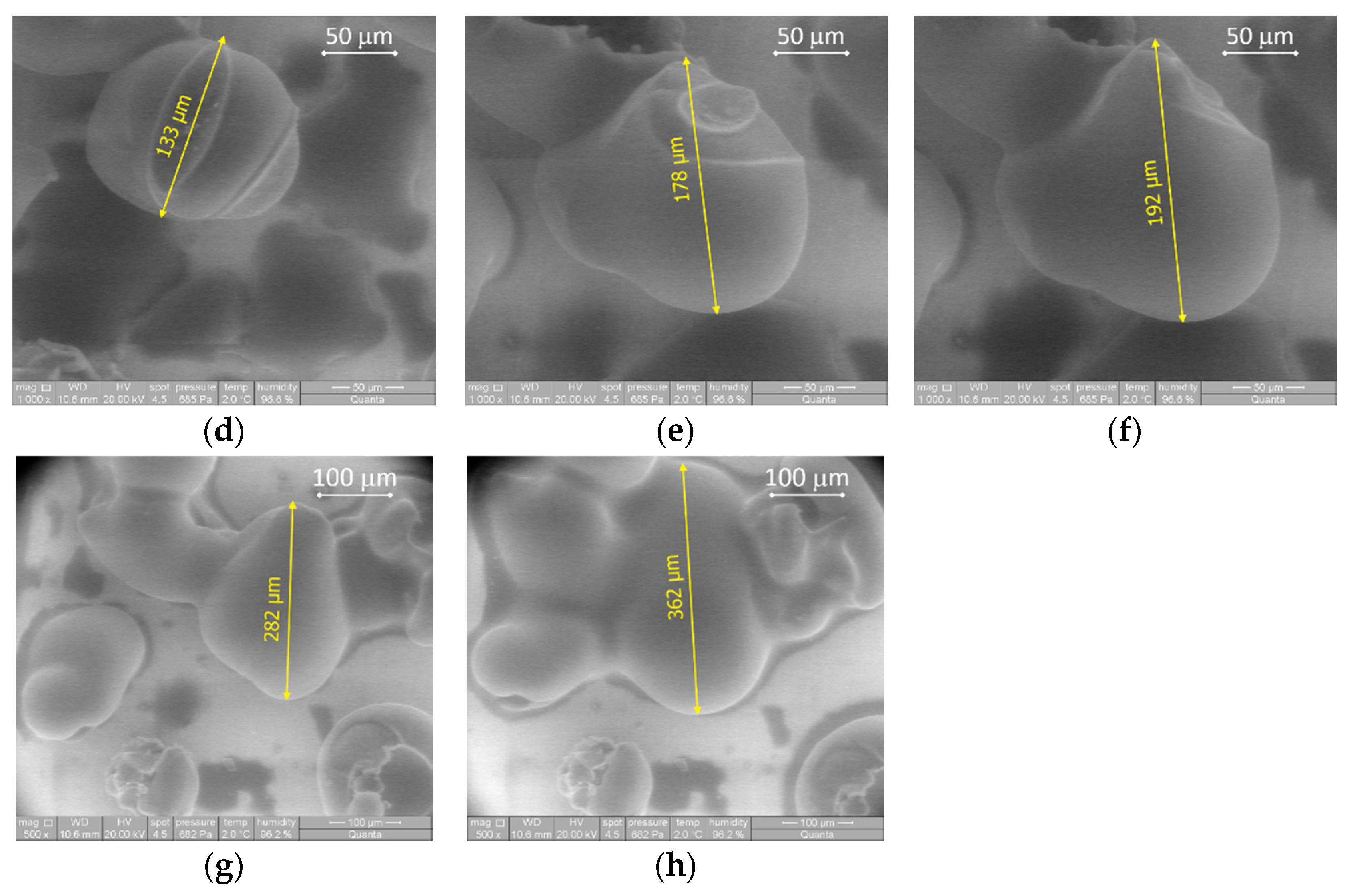 Materials 14 02197 g005b Materials 14 02197 g005b