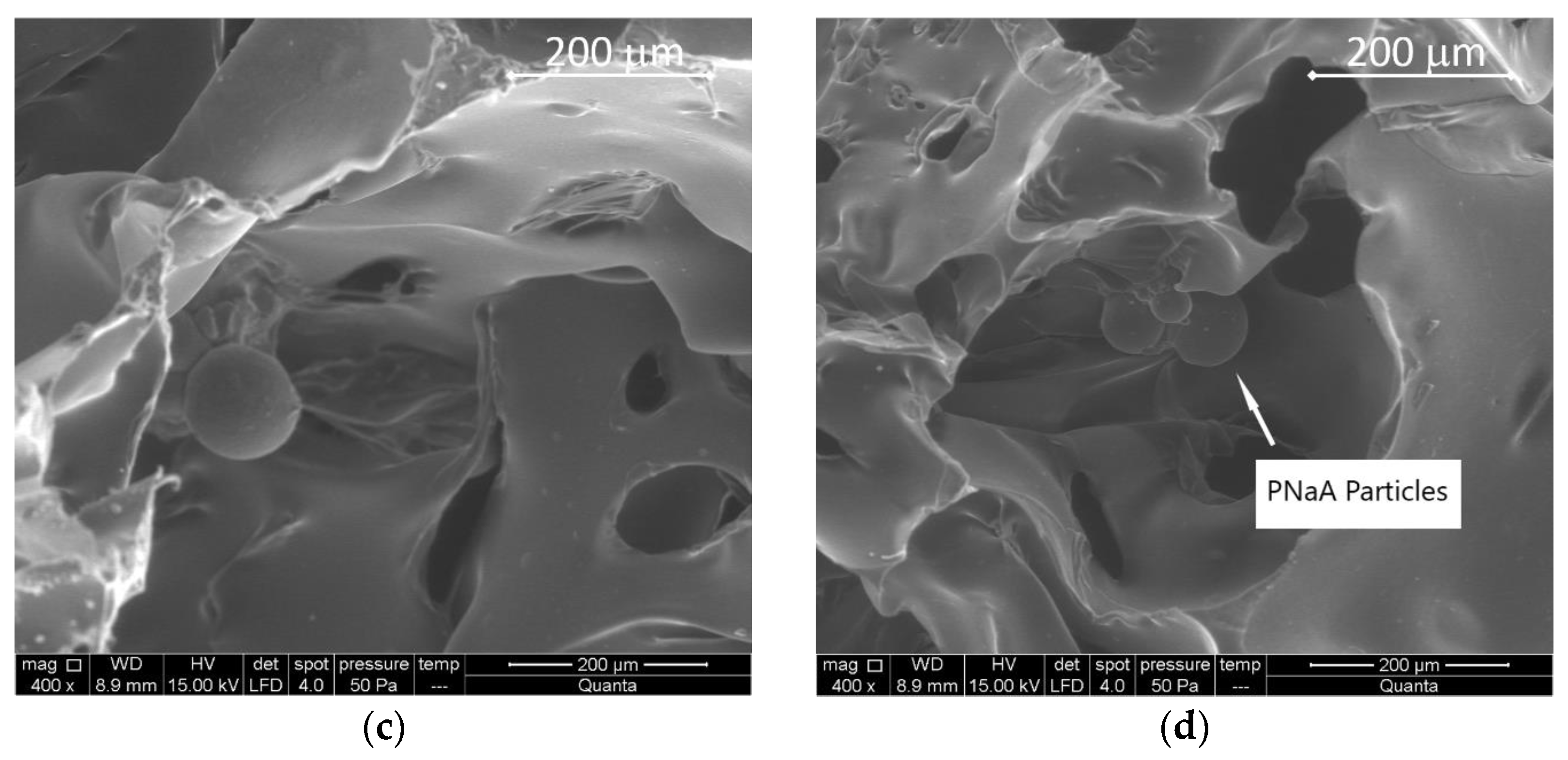 Materials 14 02197 g007b Materials 14 02197 g007b