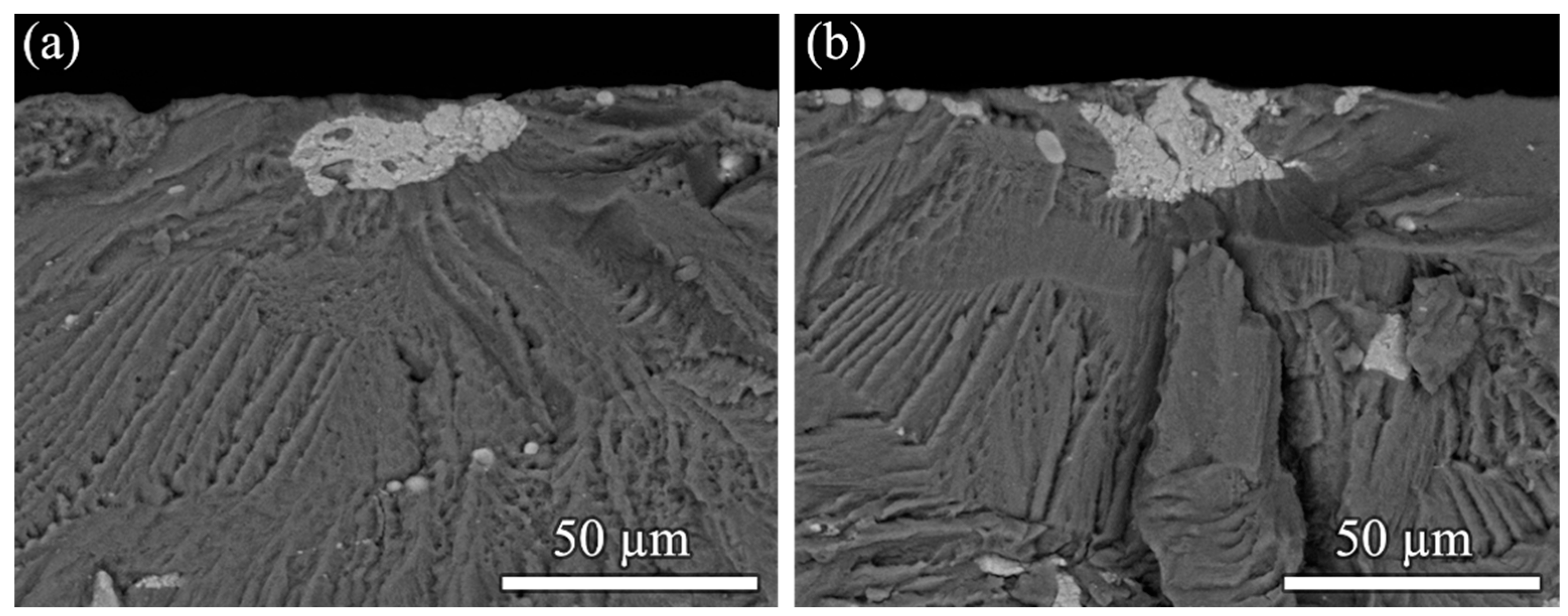 Materials 14 02245 g003 Materials 14 02245 g003