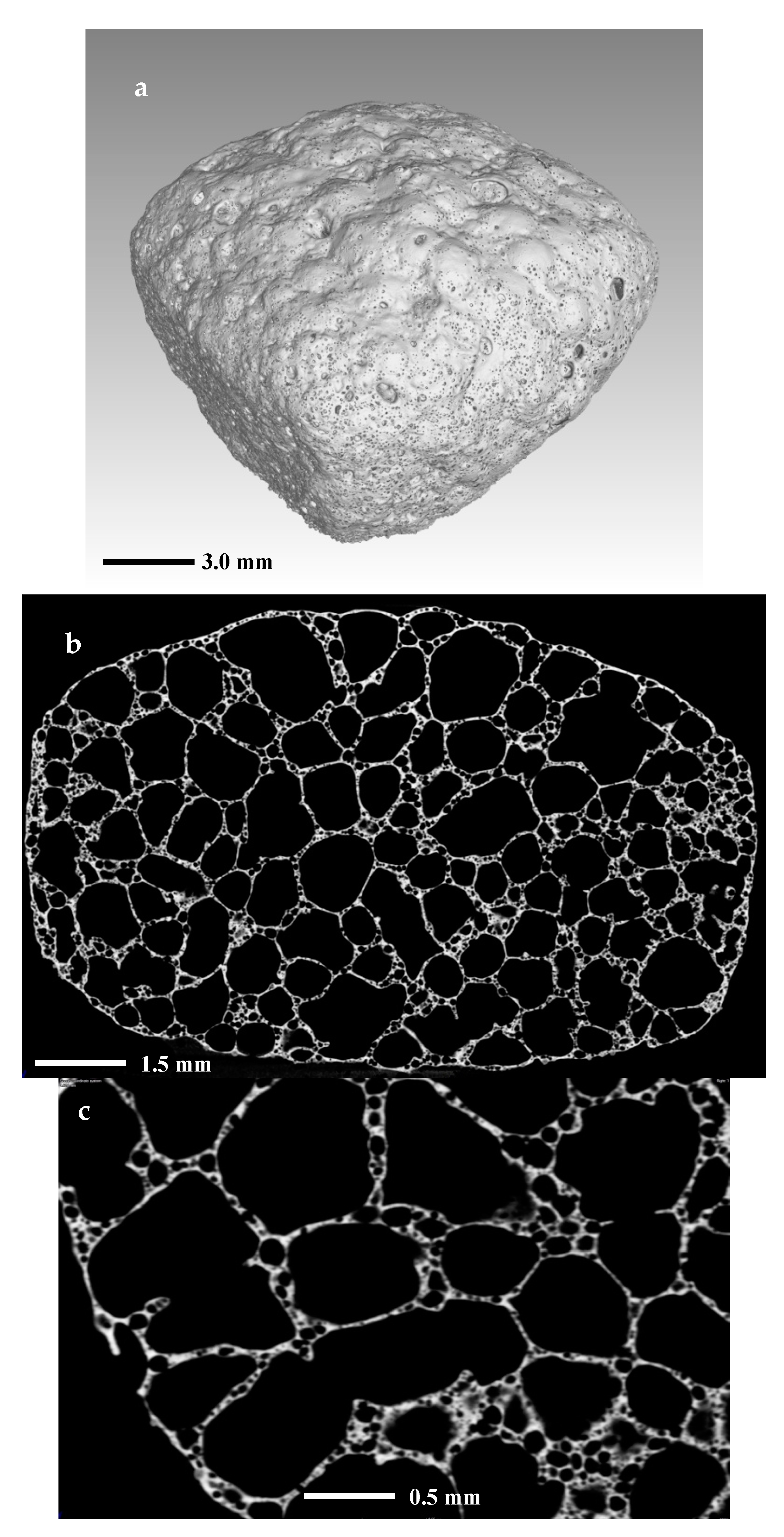 Materials 14 02263 g009 Materials 14 02263 g009