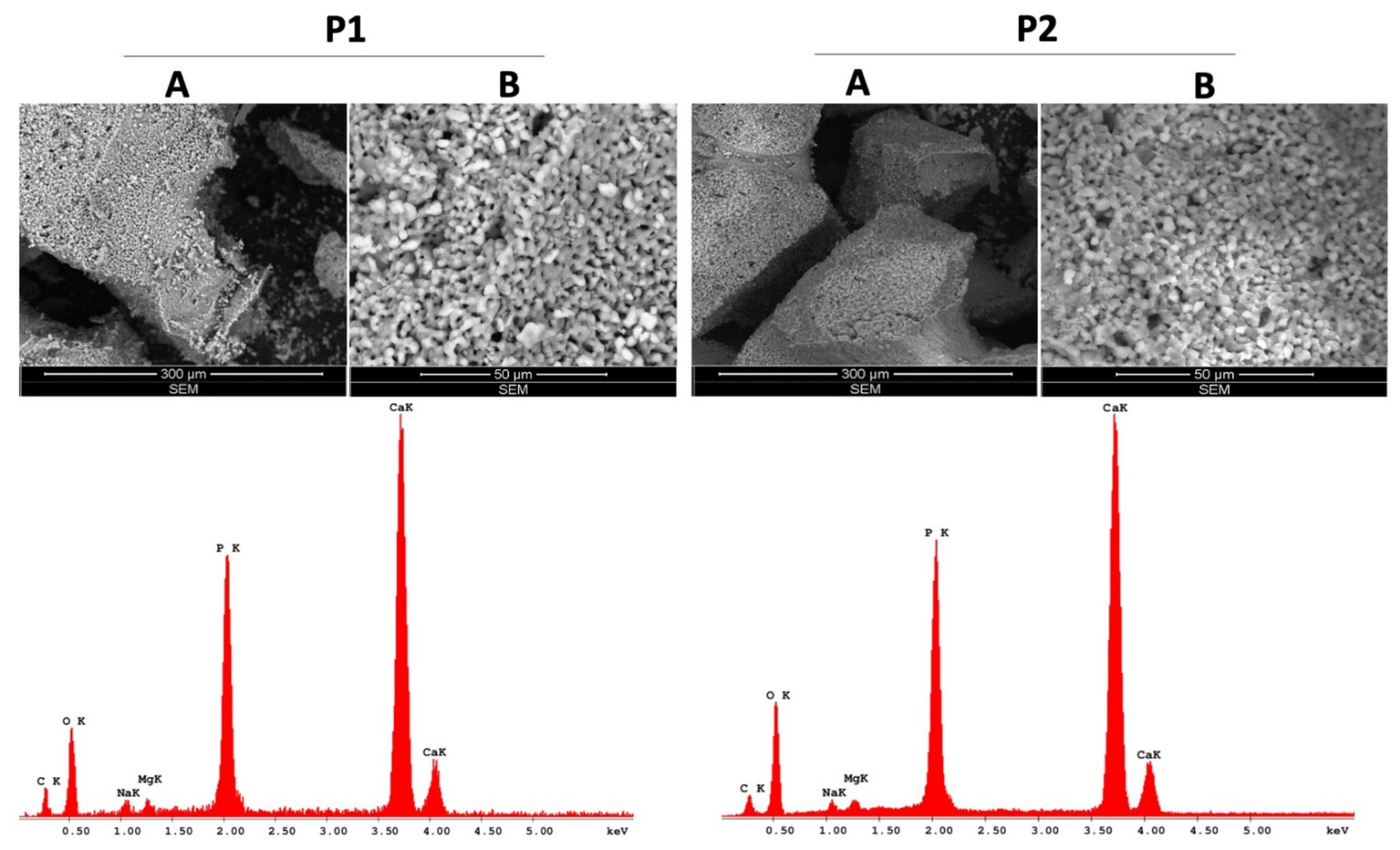 Materials 14 02266 g002 Materials 14 02266 g002