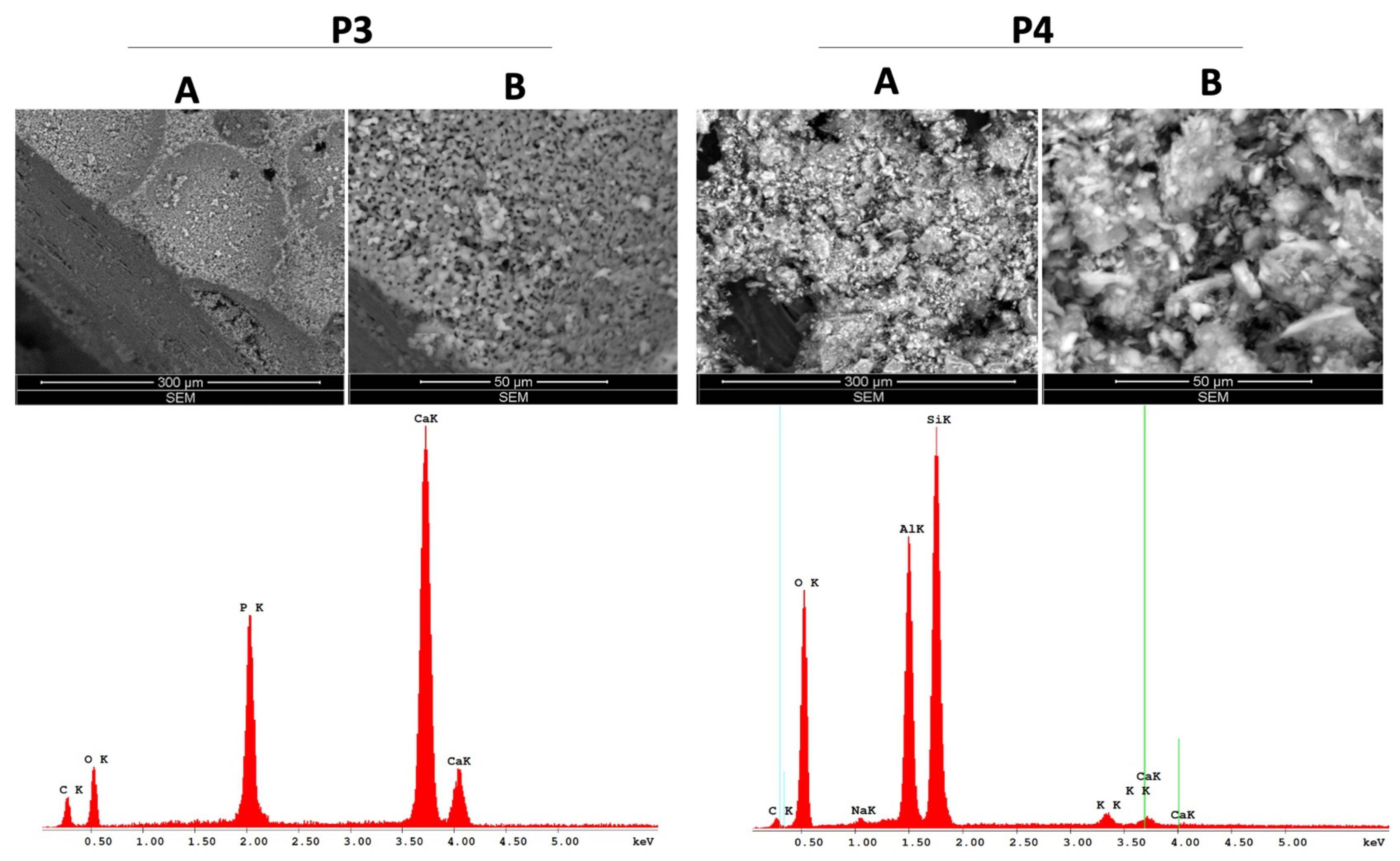 Materials 14 02266 g003 Materials 14 02266 g003