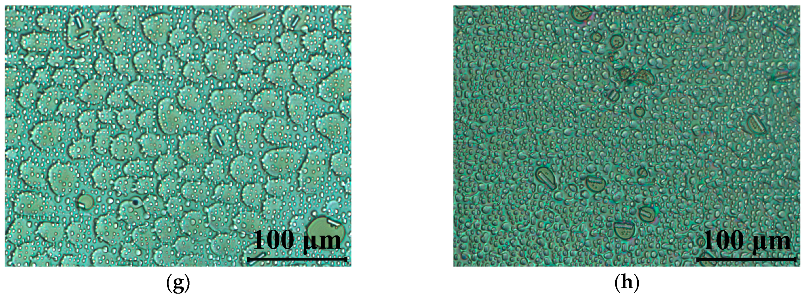 Materials 14 02283 g006b