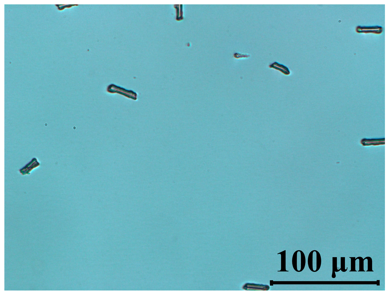 Materials 14 02283 g007